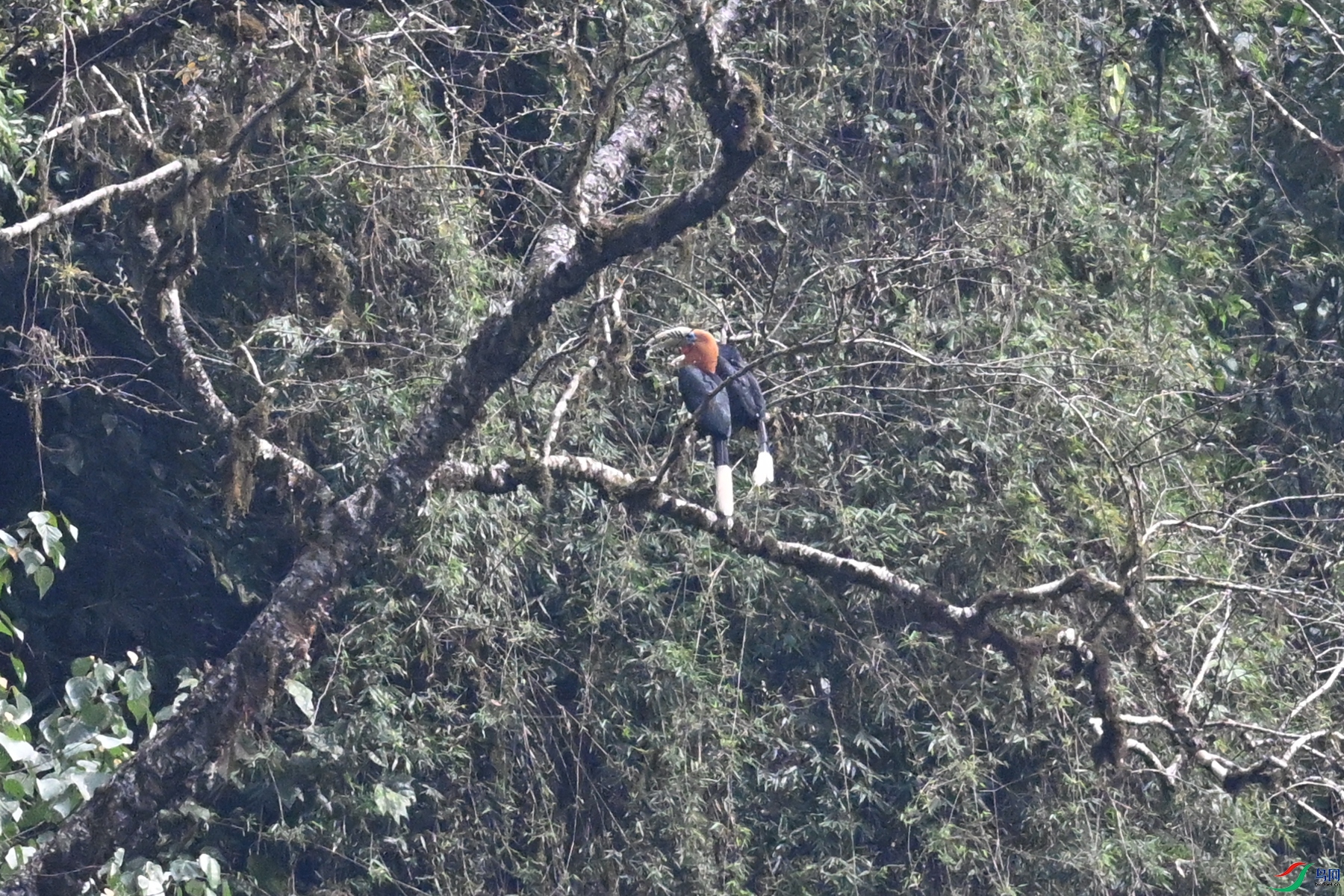 DSC_9982.JPG