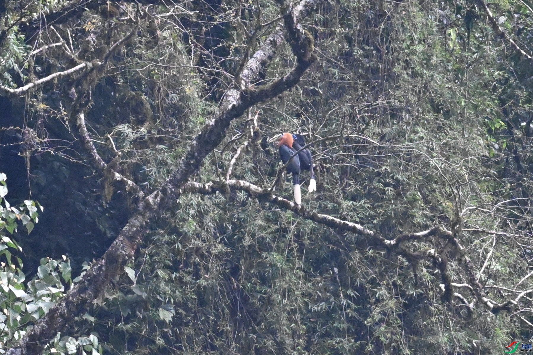 DSC_9984.JPG