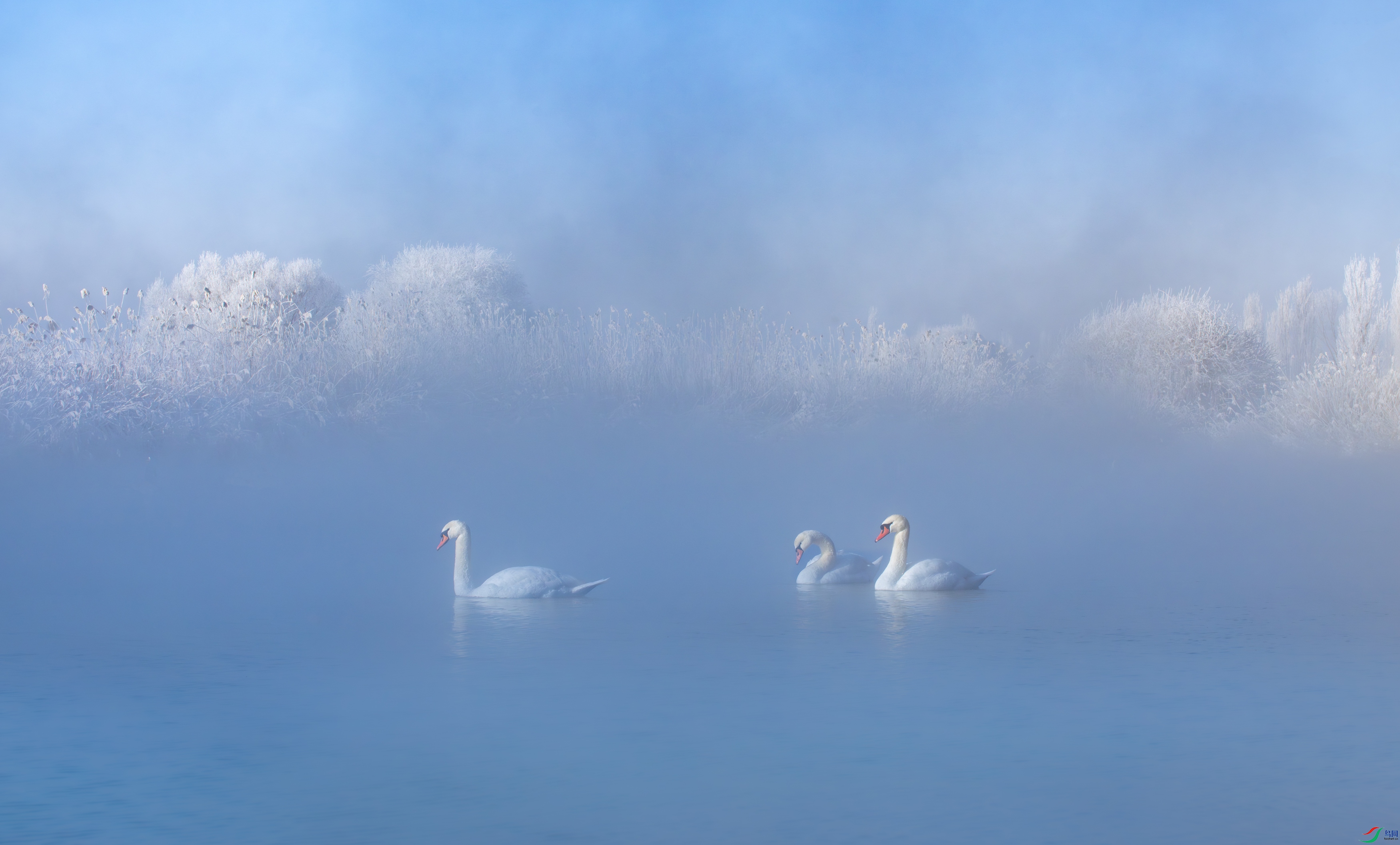 DSC_4890-11.jpg