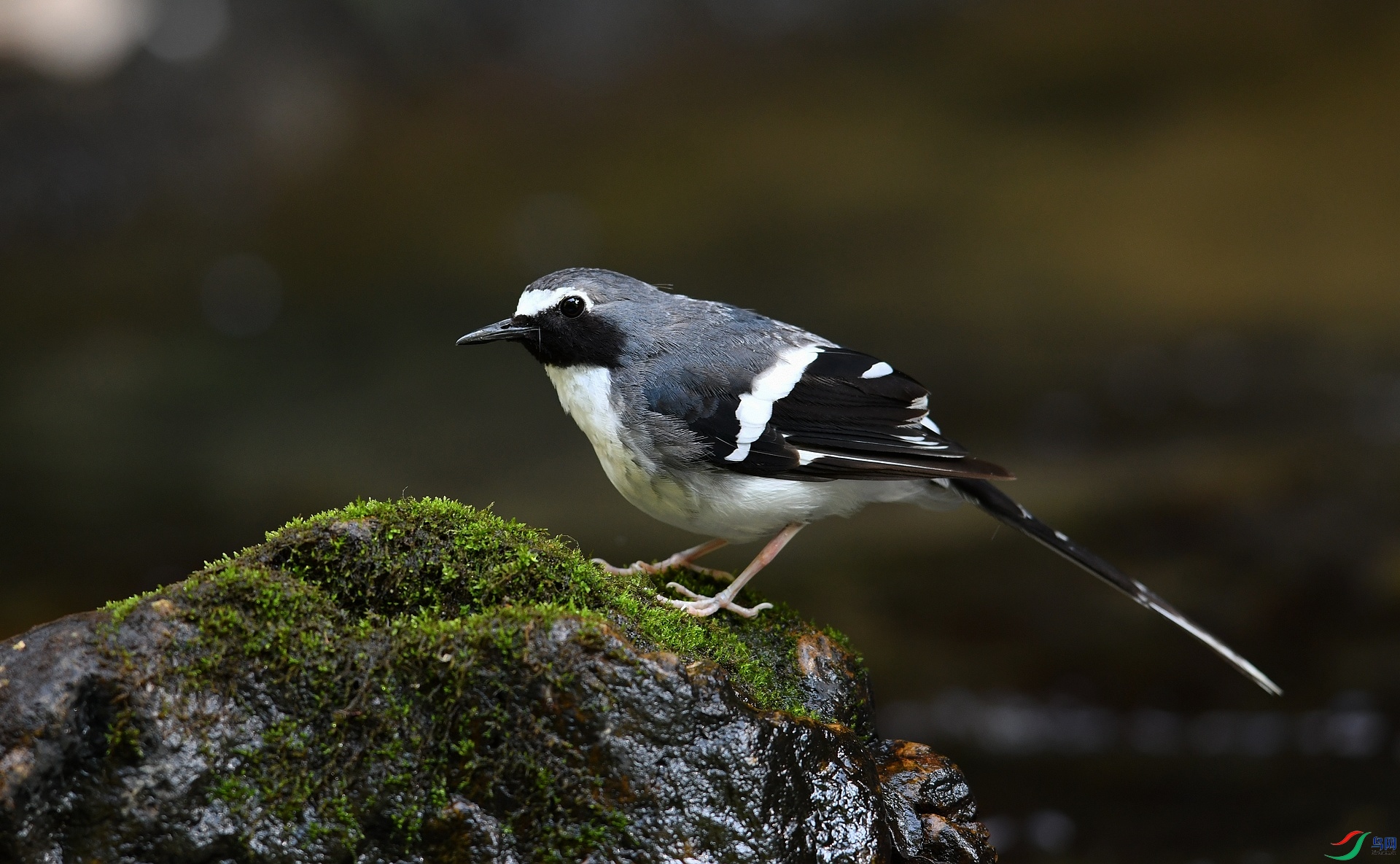 DSC_3585.jpg