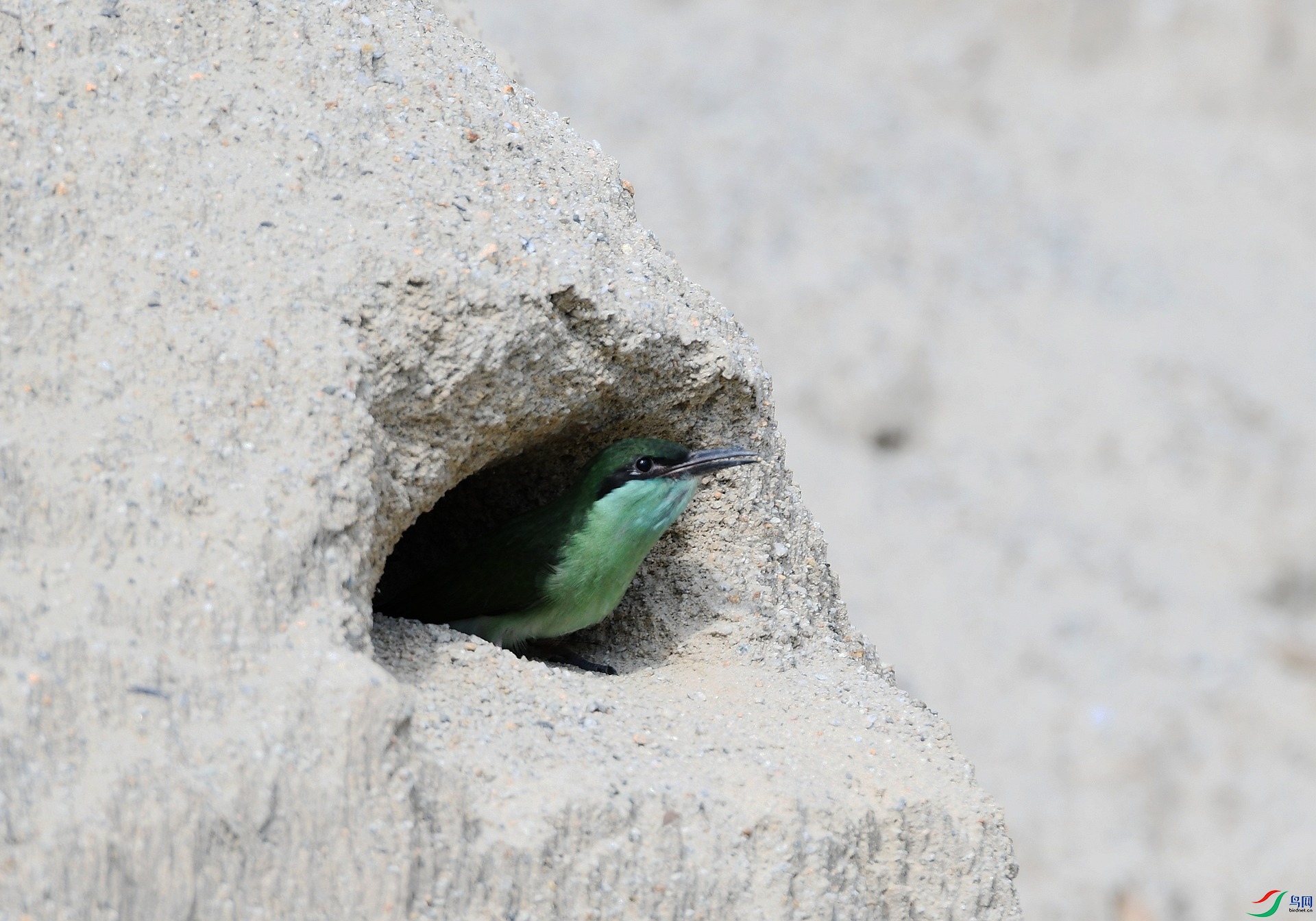DSC_3267.jpg