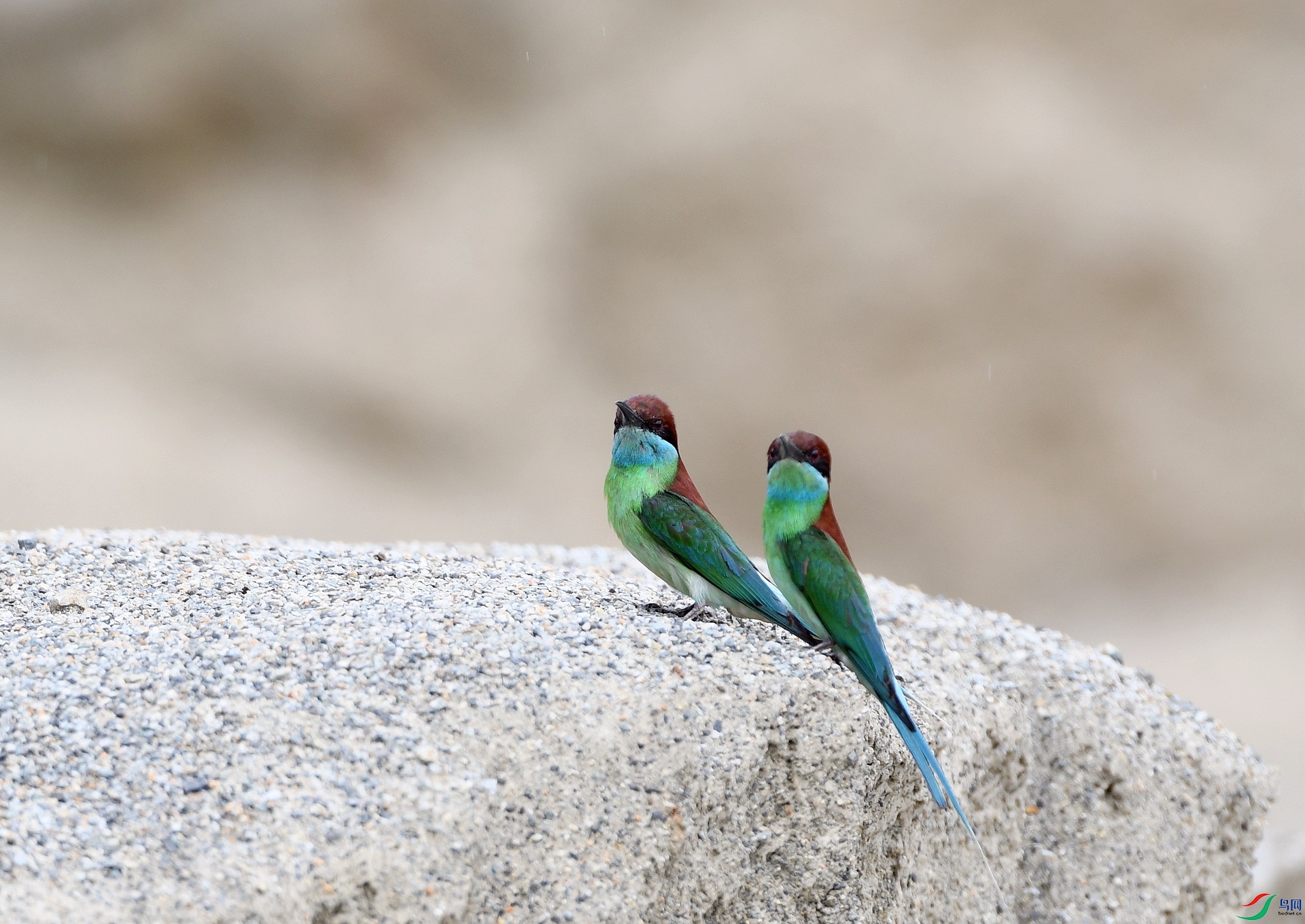 DSC_1249.jpg