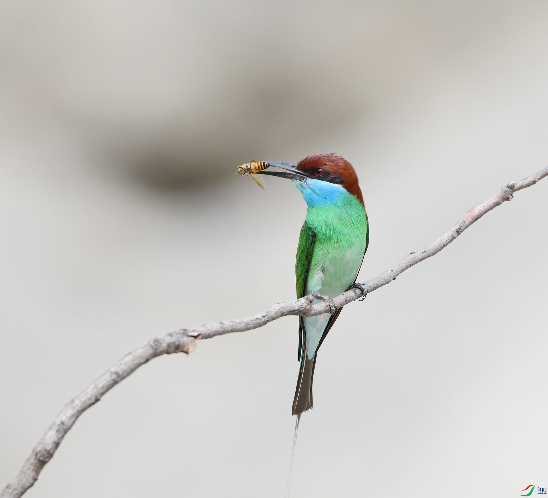 DSC_0794.jpg
