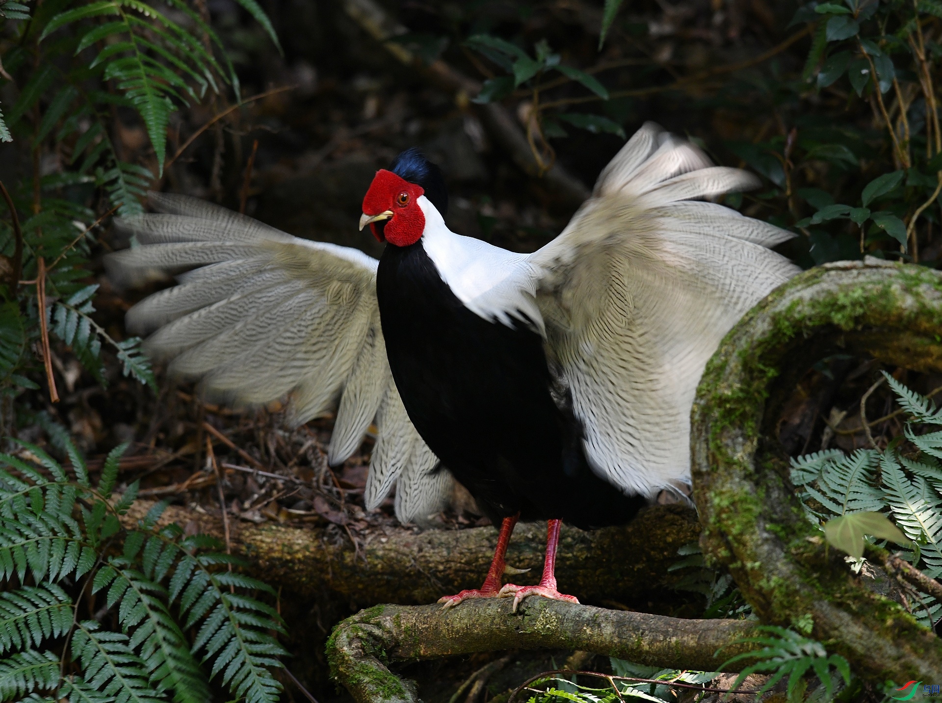 DSC_7420.jpg