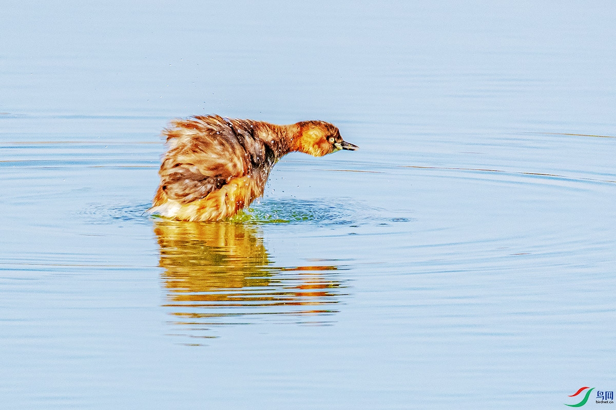 DSC_7788.jpg