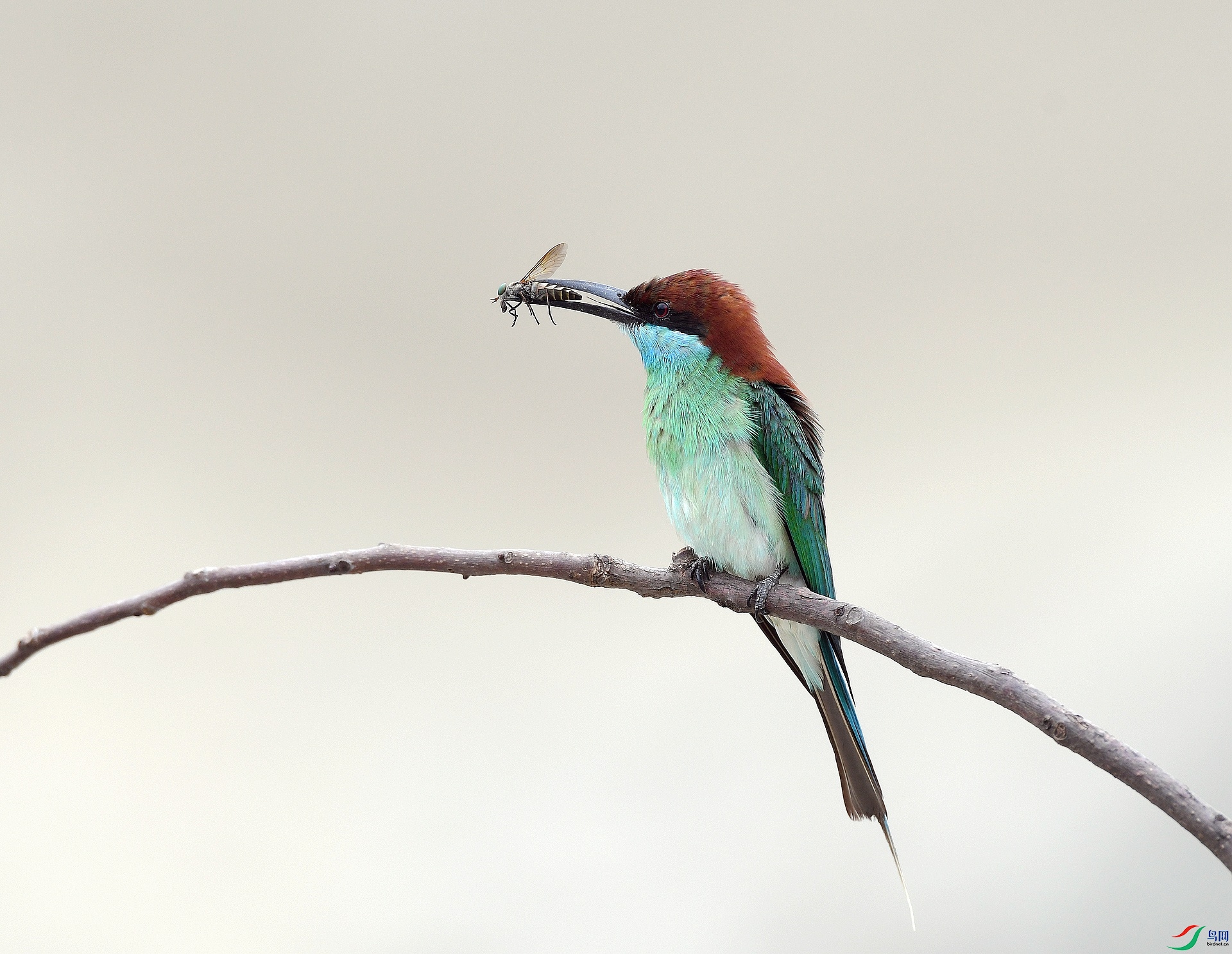 DSC_3540.jpg