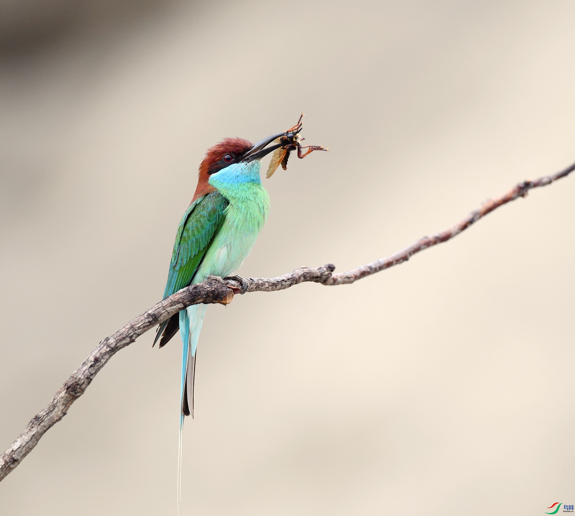 DSC_2360.jpg