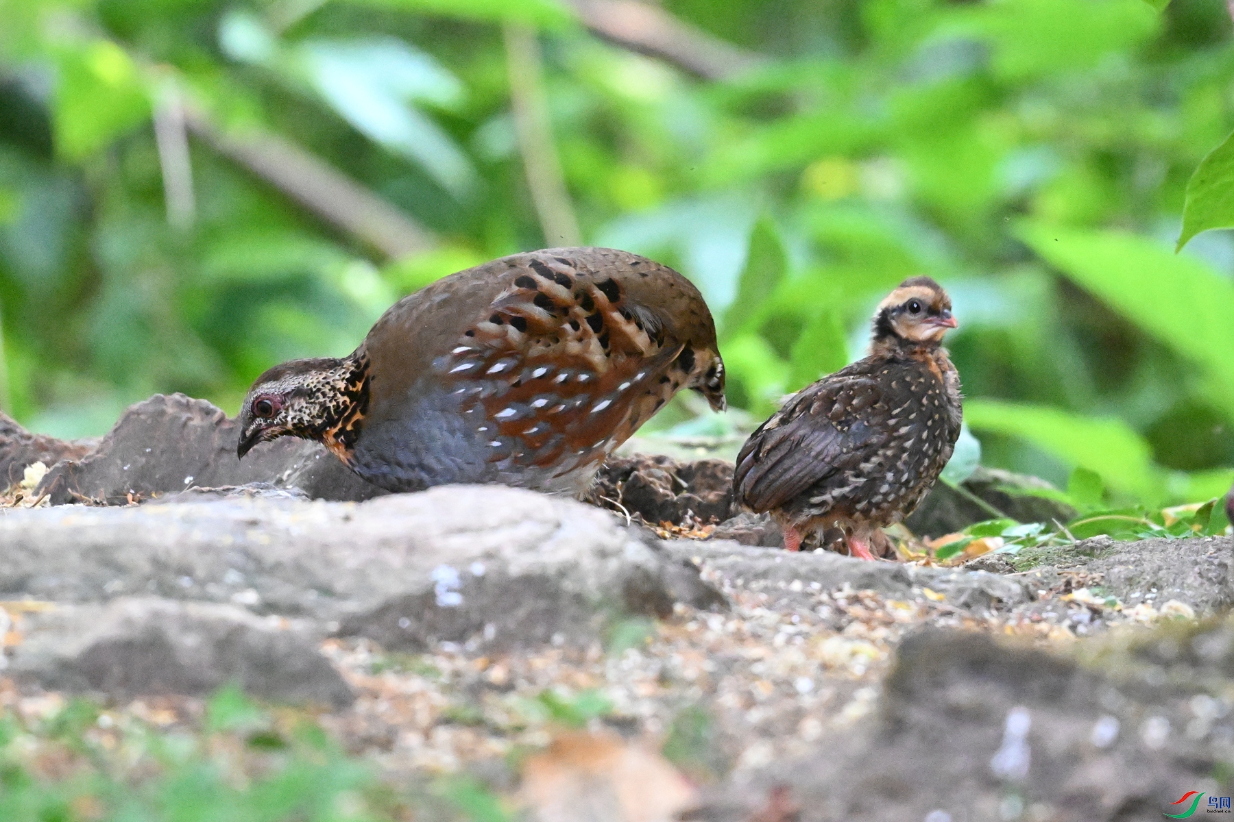 DSC_5764.JPG