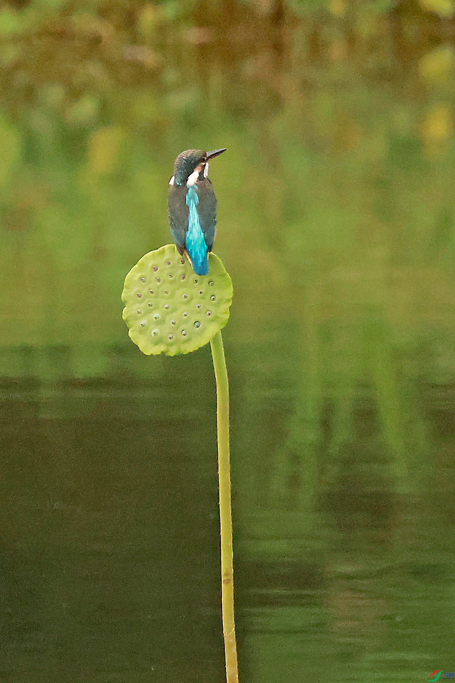2G9A5746.JPG