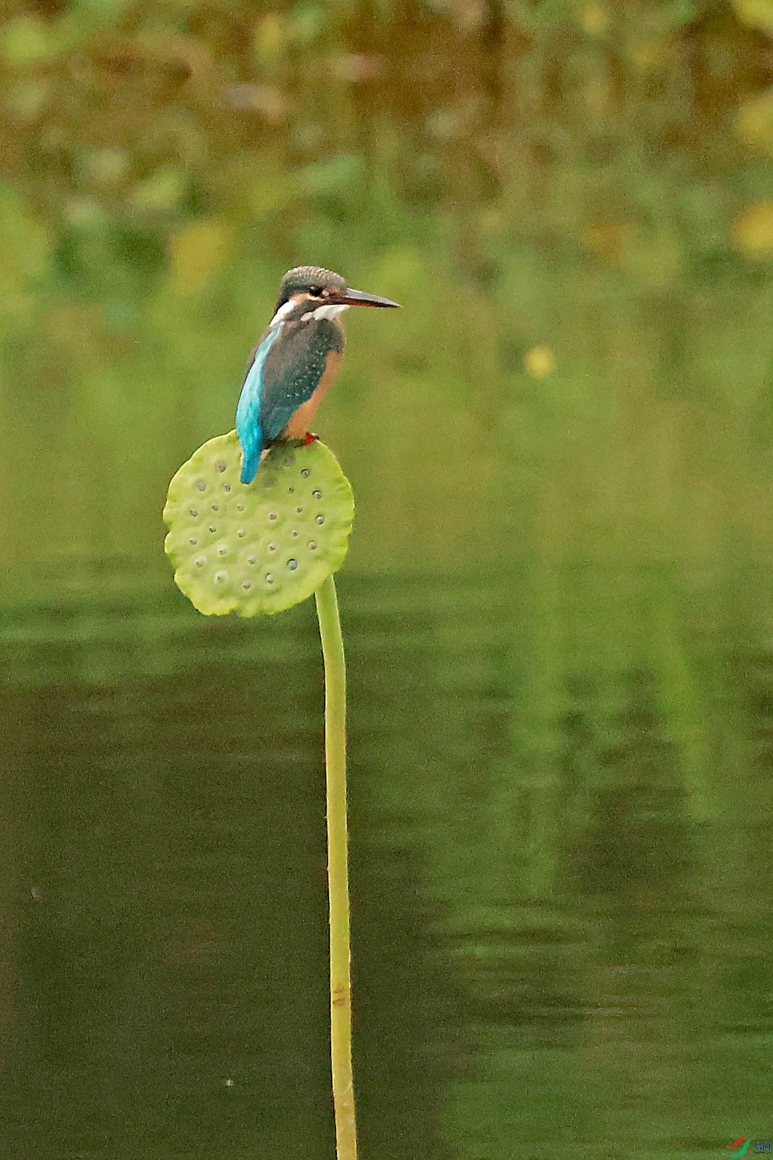 2G9A5742.JPG