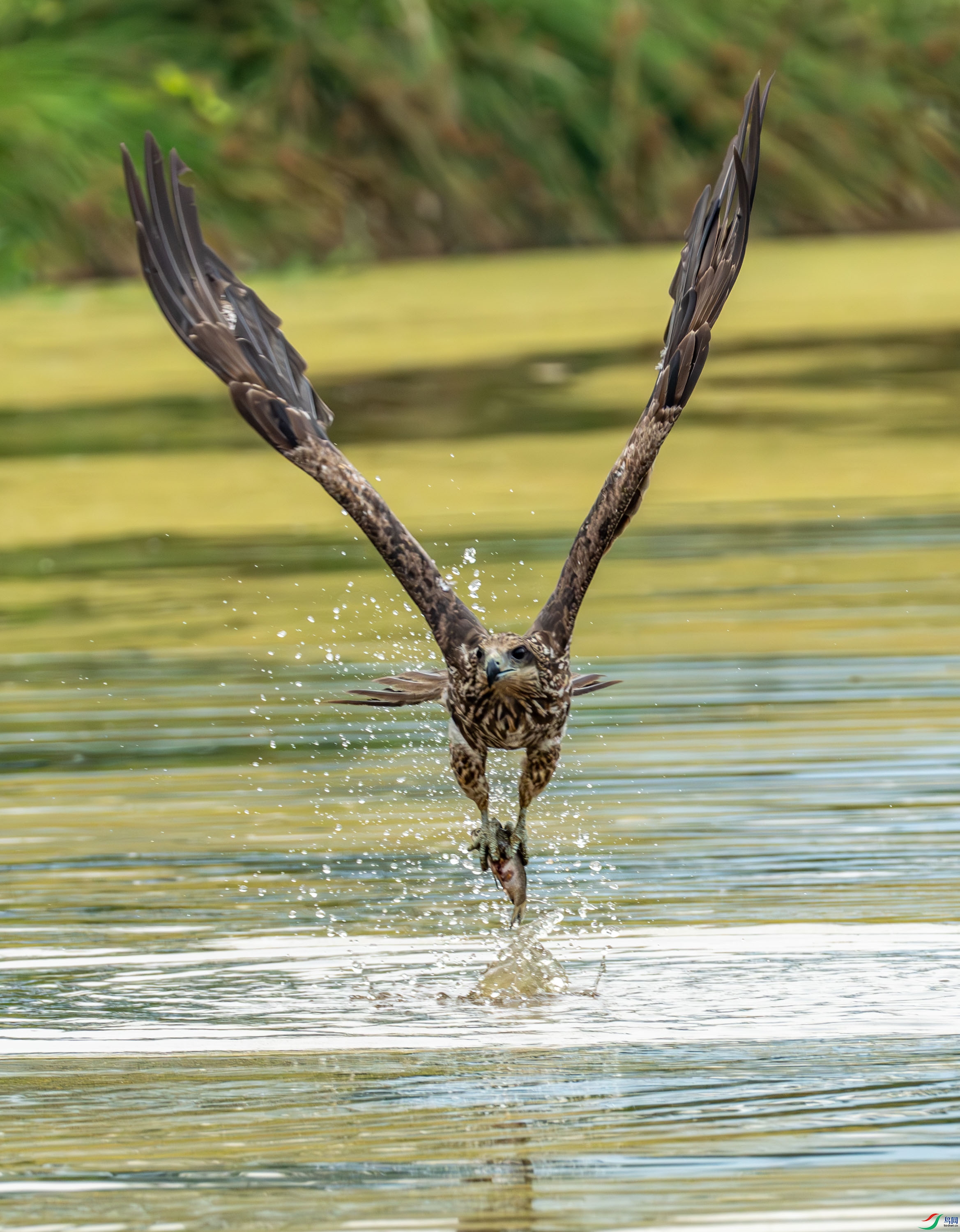 ��� (241 - 253).jpg