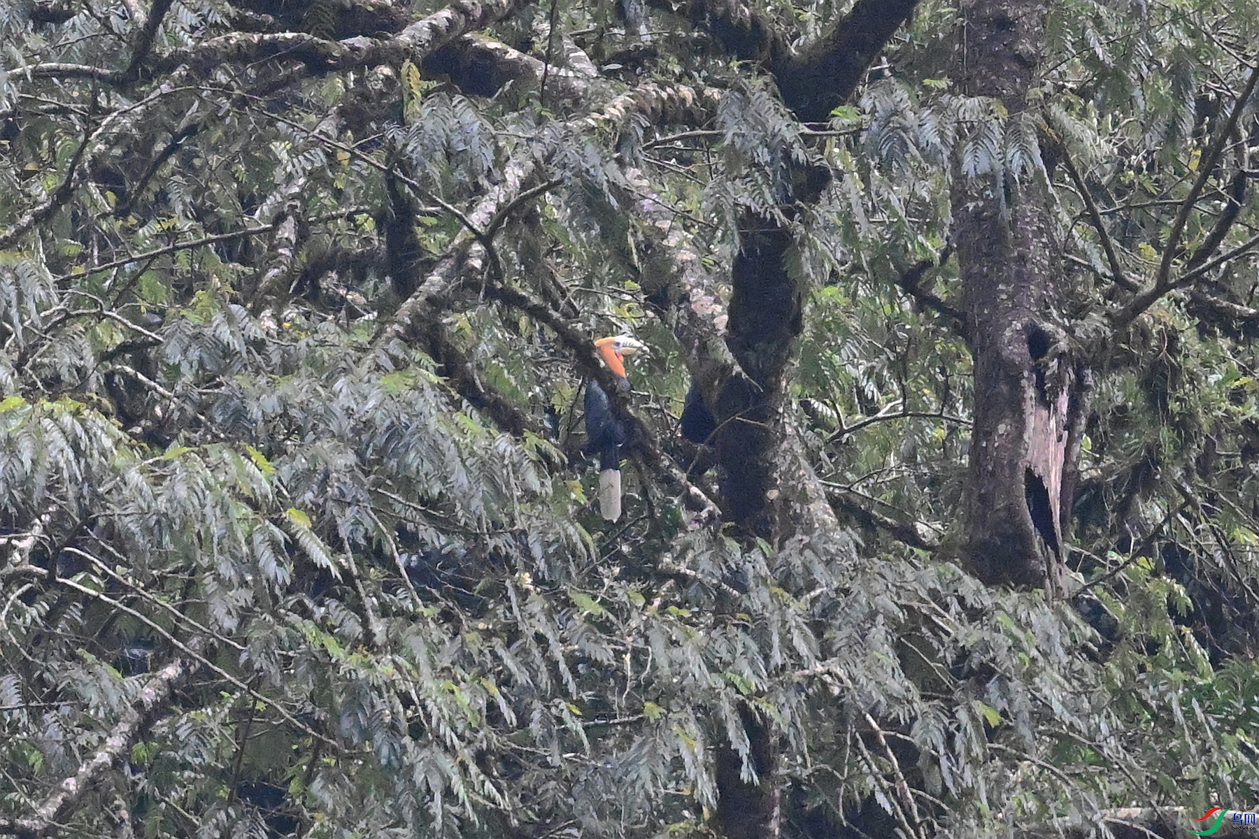 DSC_9992.JPG