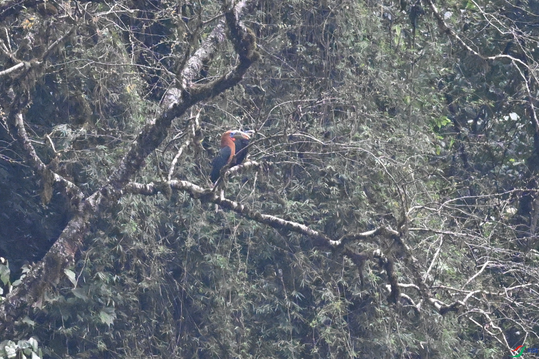 DSC_9974.JPG