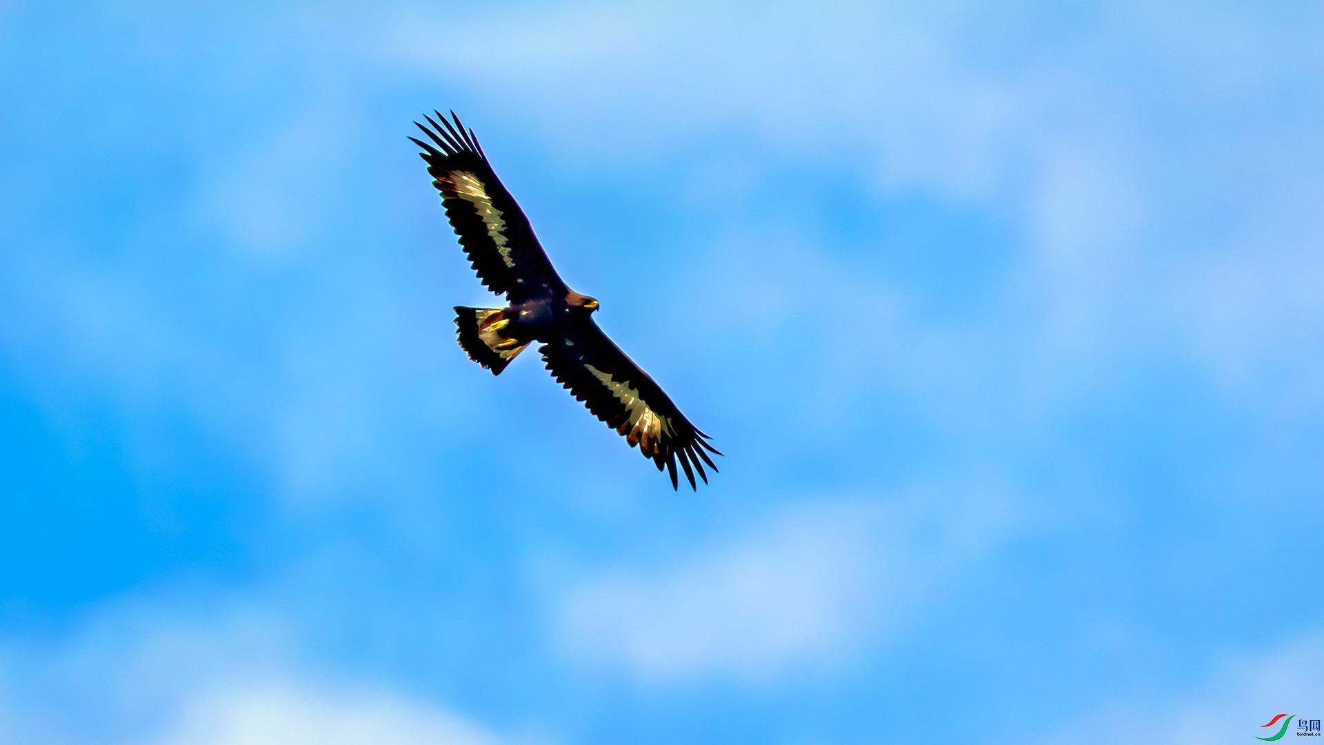 398A1853 ����.jpg