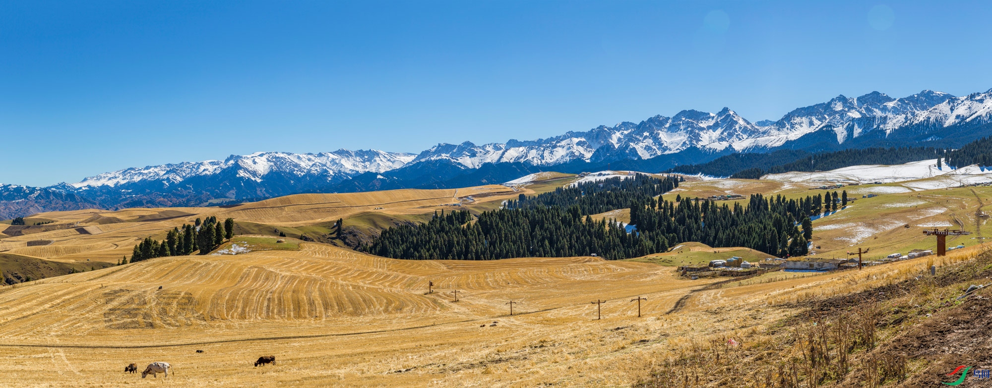3G5A5037-Pano.jpg
