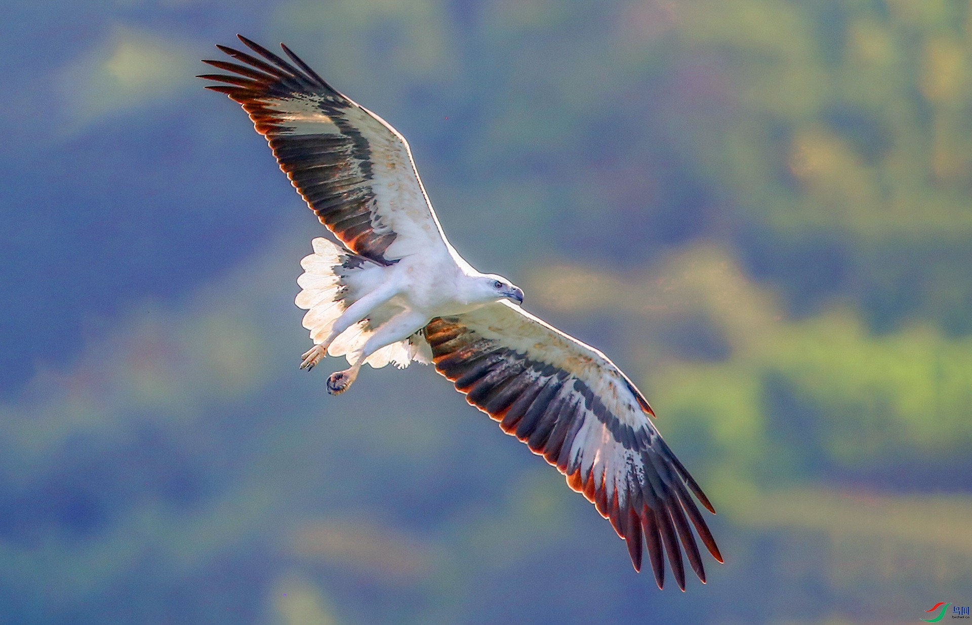 ���衪���׸����� 03.jpg