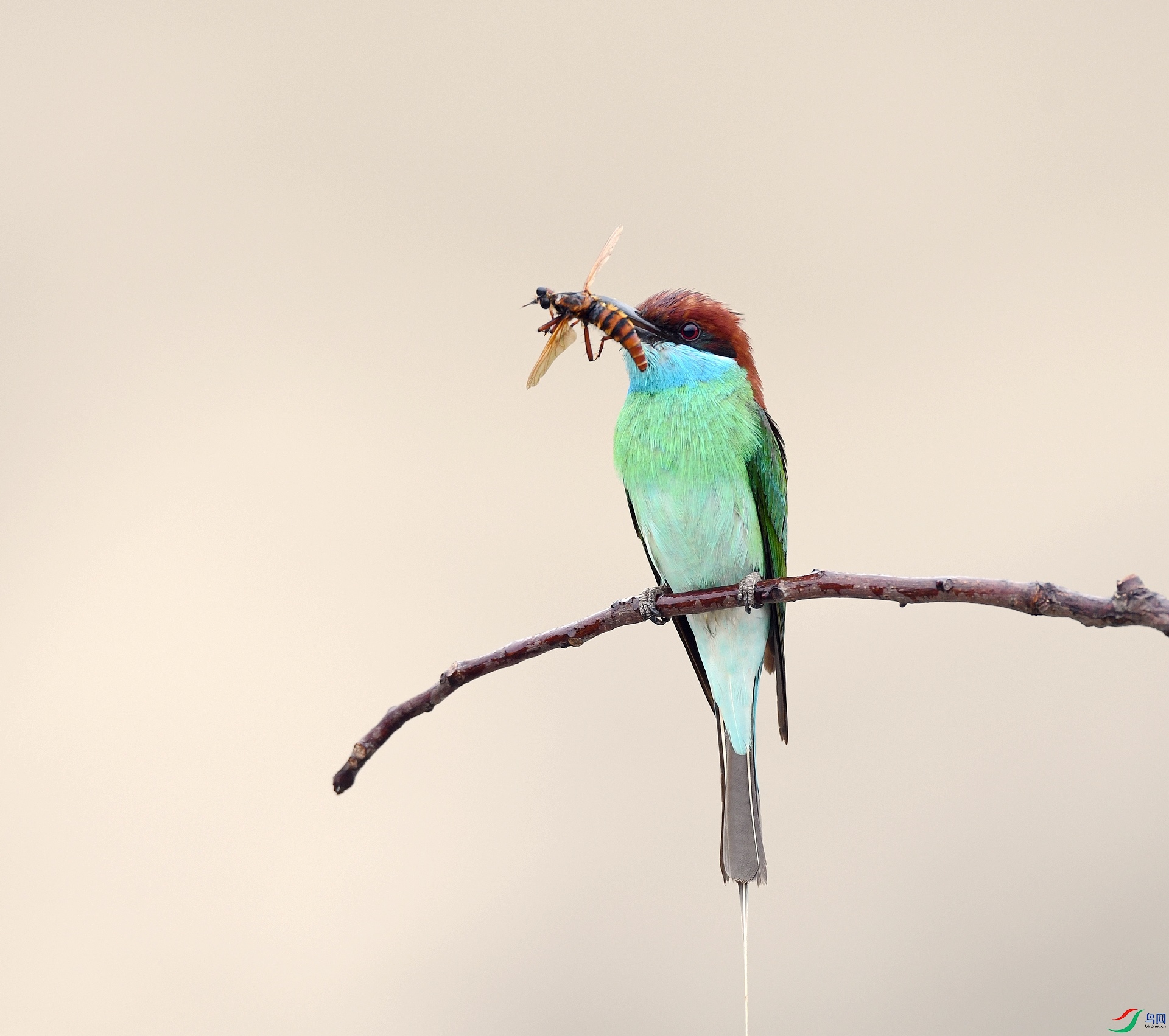 DSC_2206.jpg