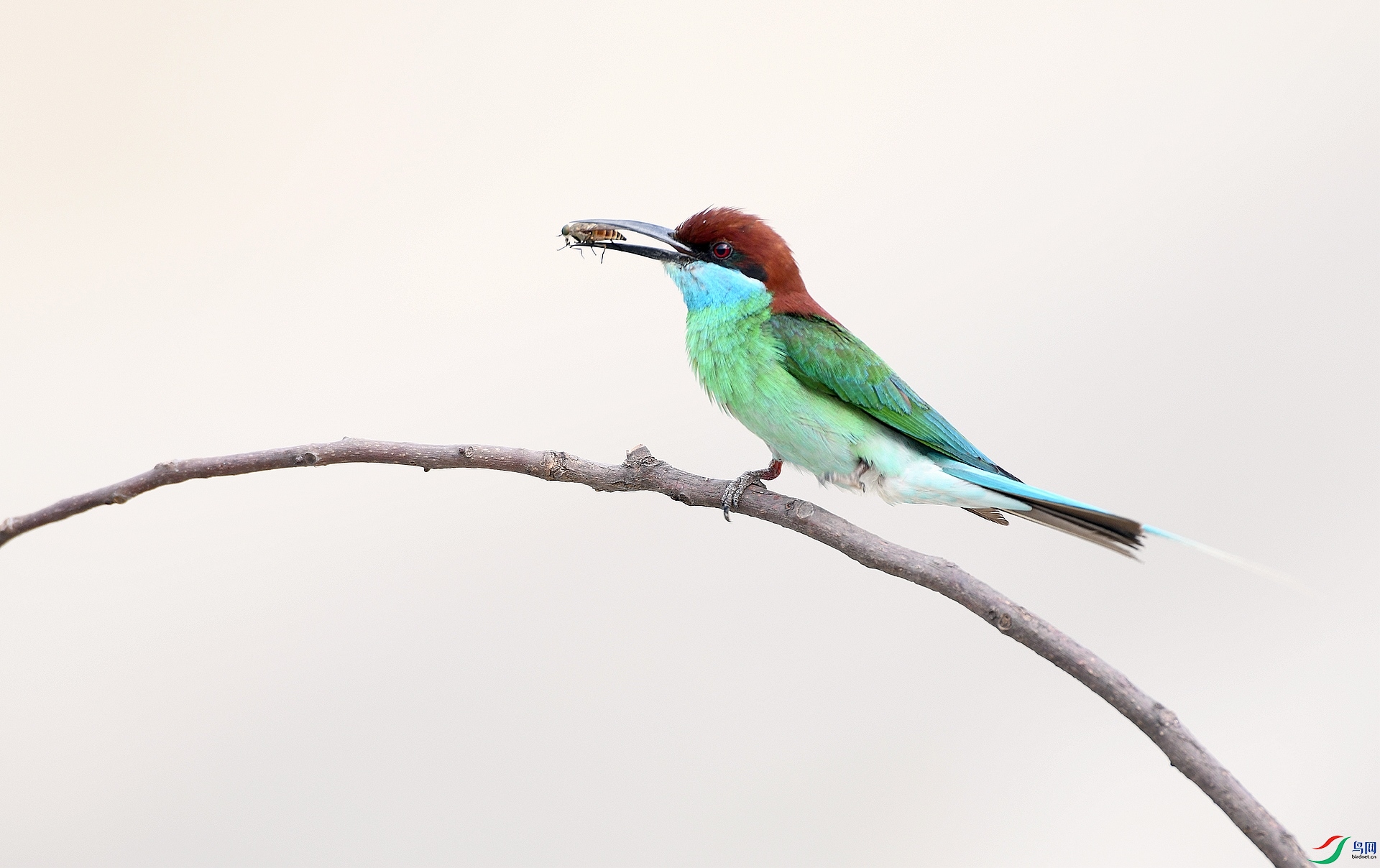 DSC_0682.jpg