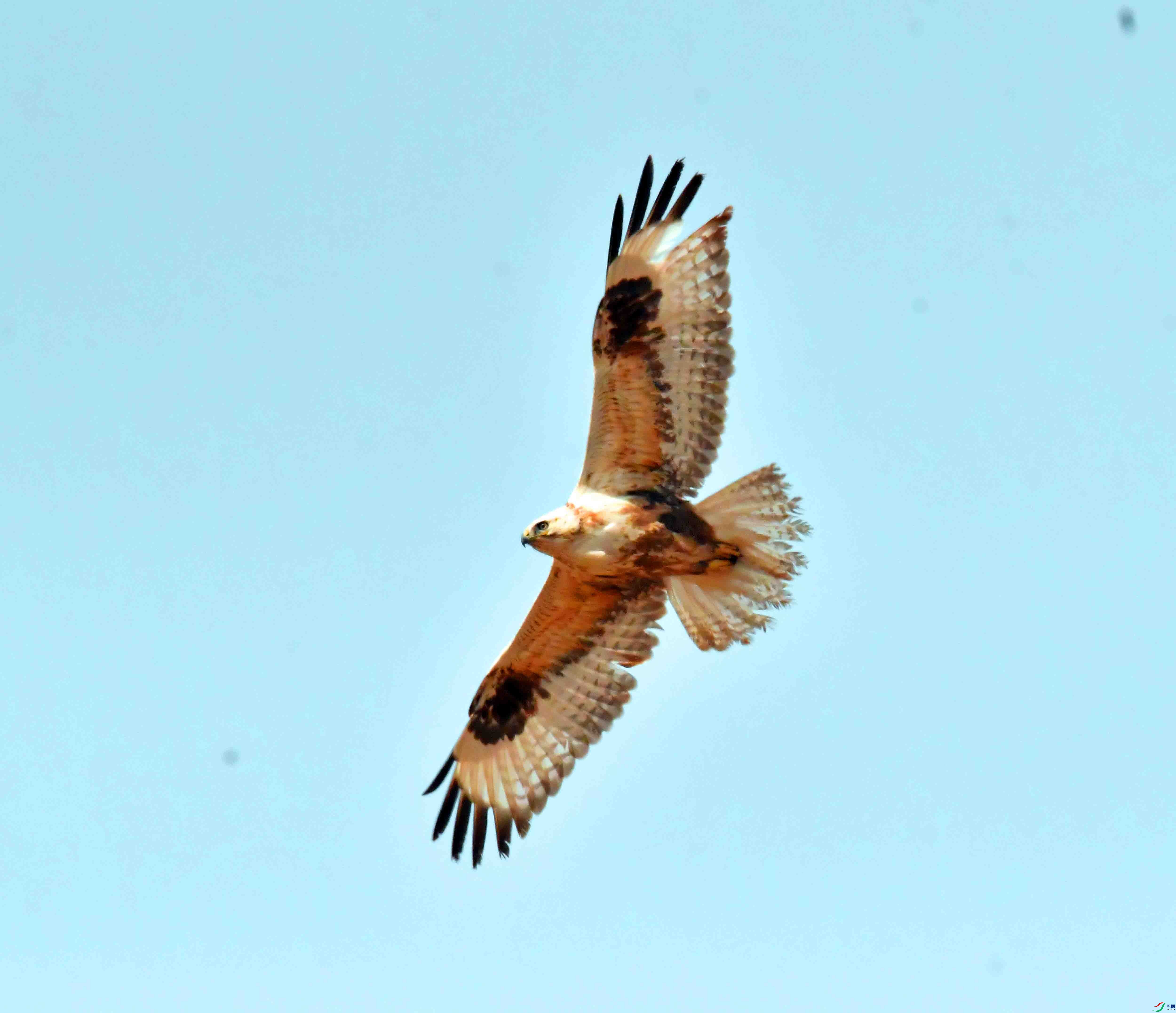 DSC_2070.JPG