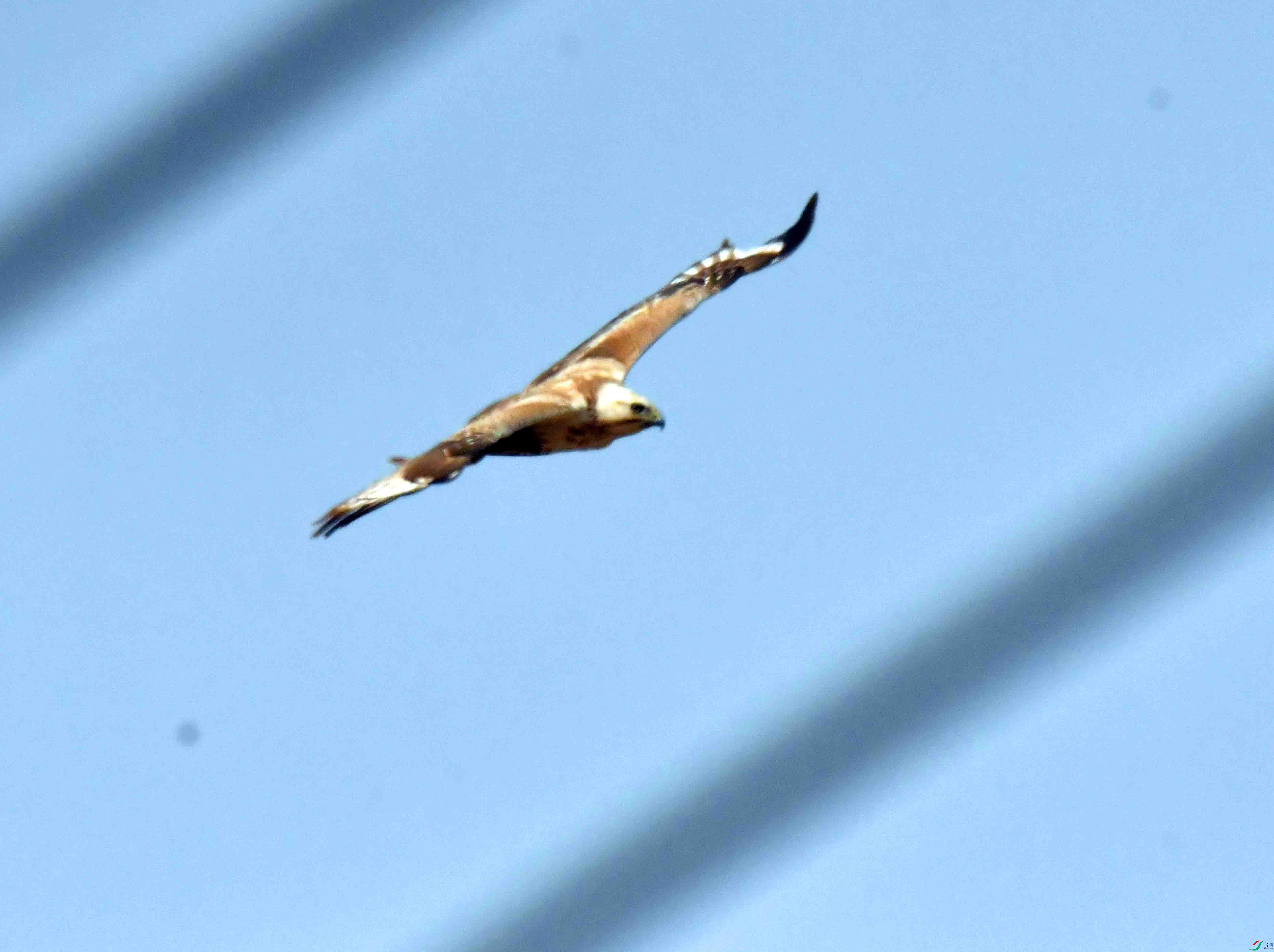 DSC_2077.JPG