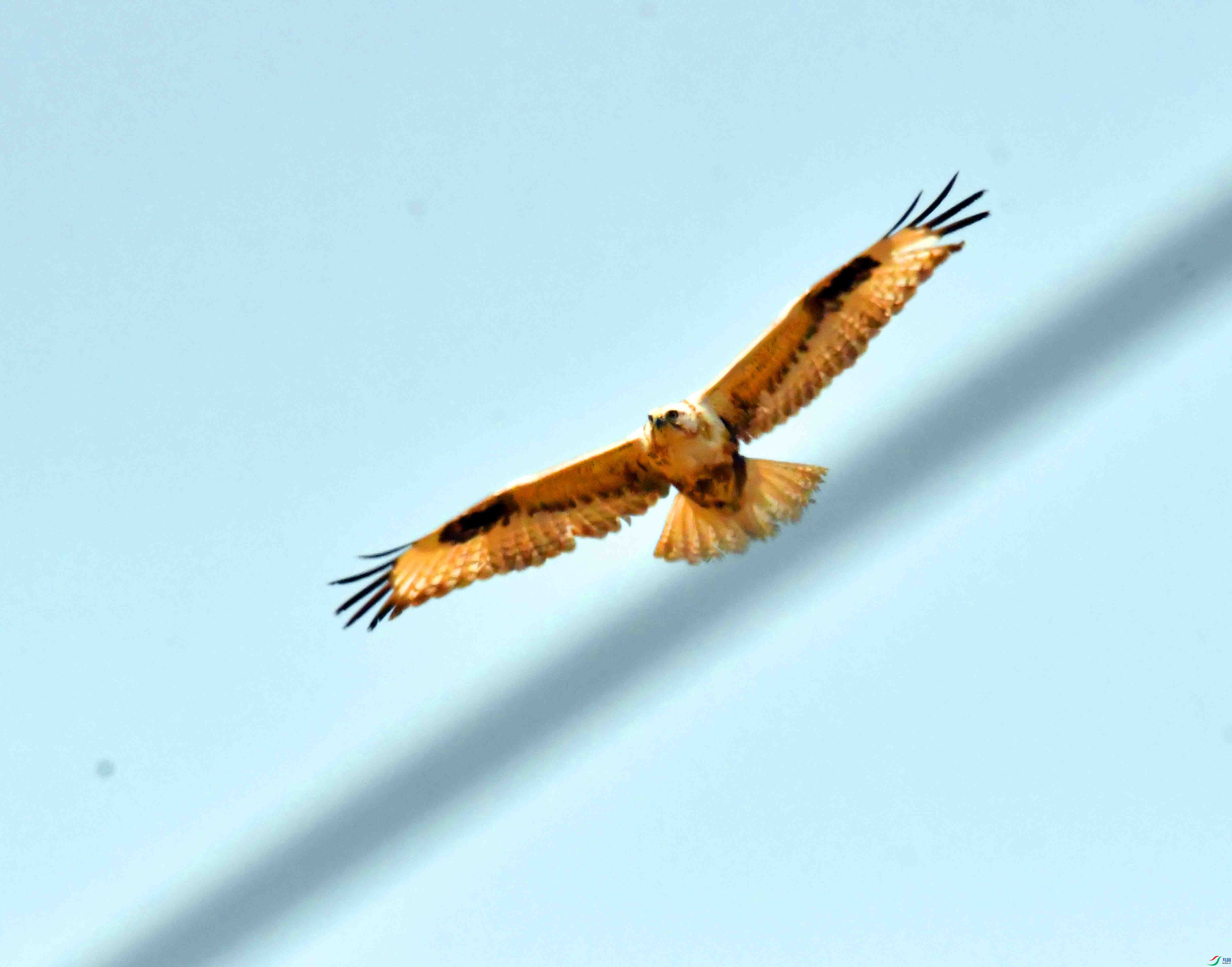 DSC_2080.JPG
