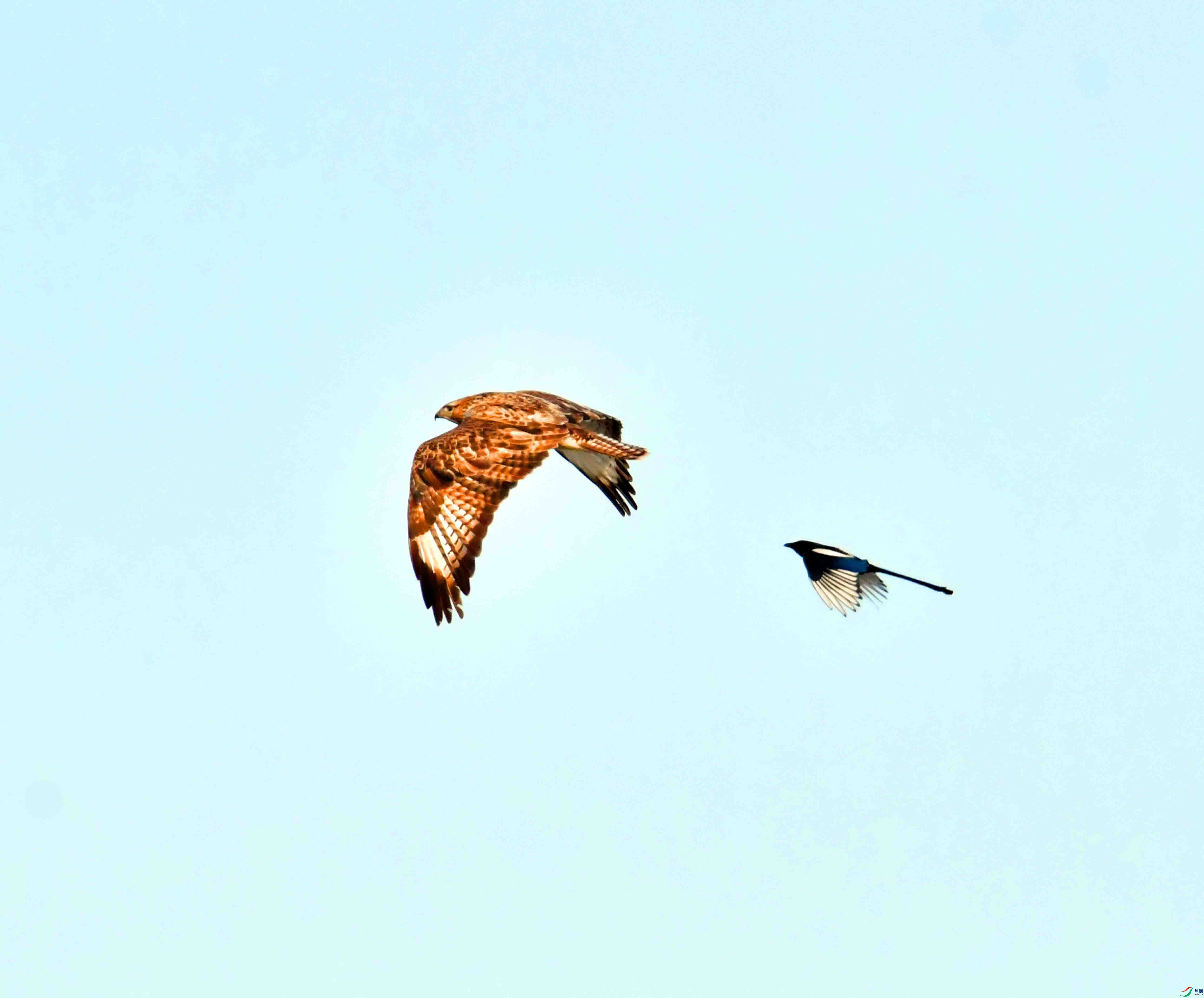 DSC_2146.JPG