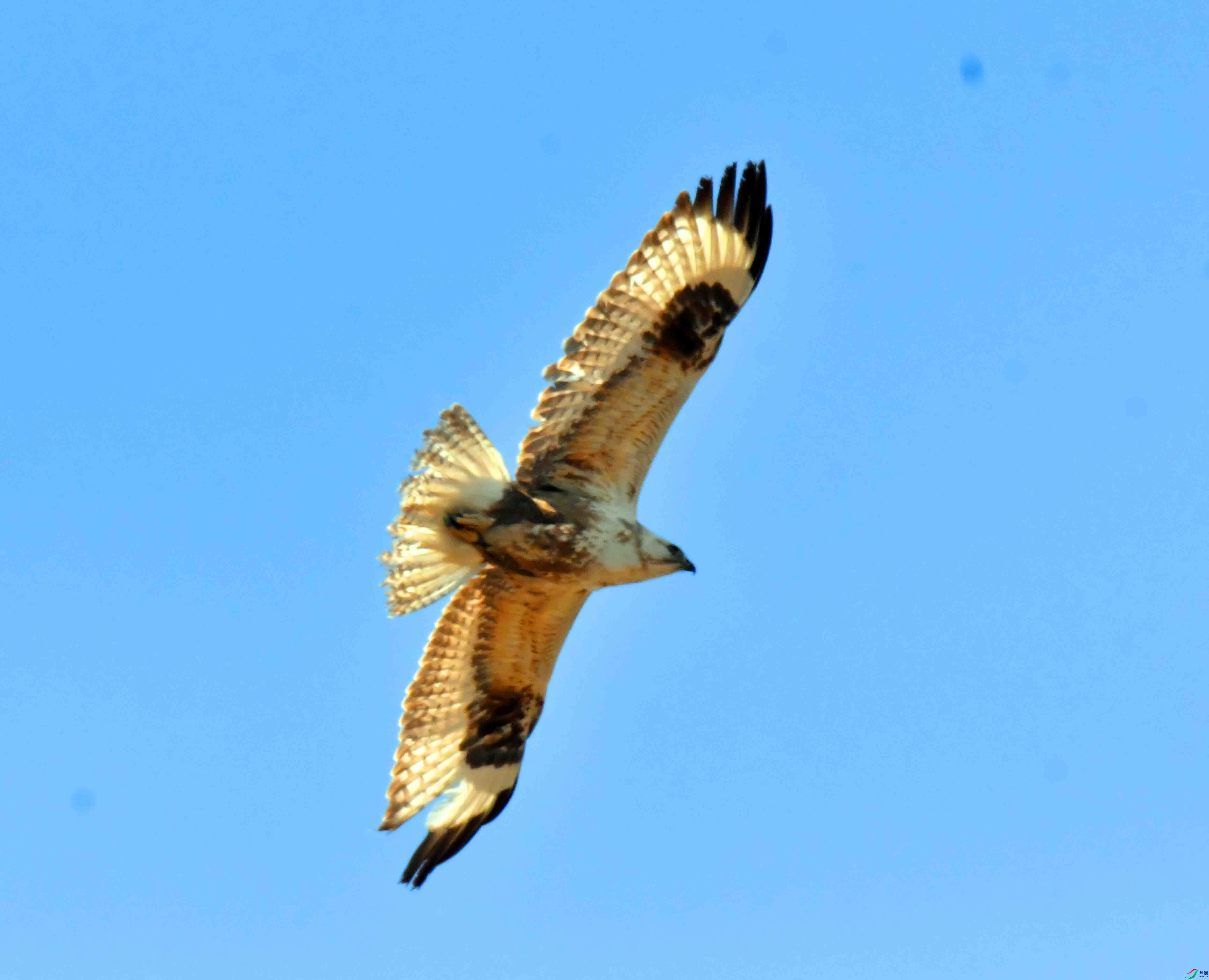 DSC_2224.JPG