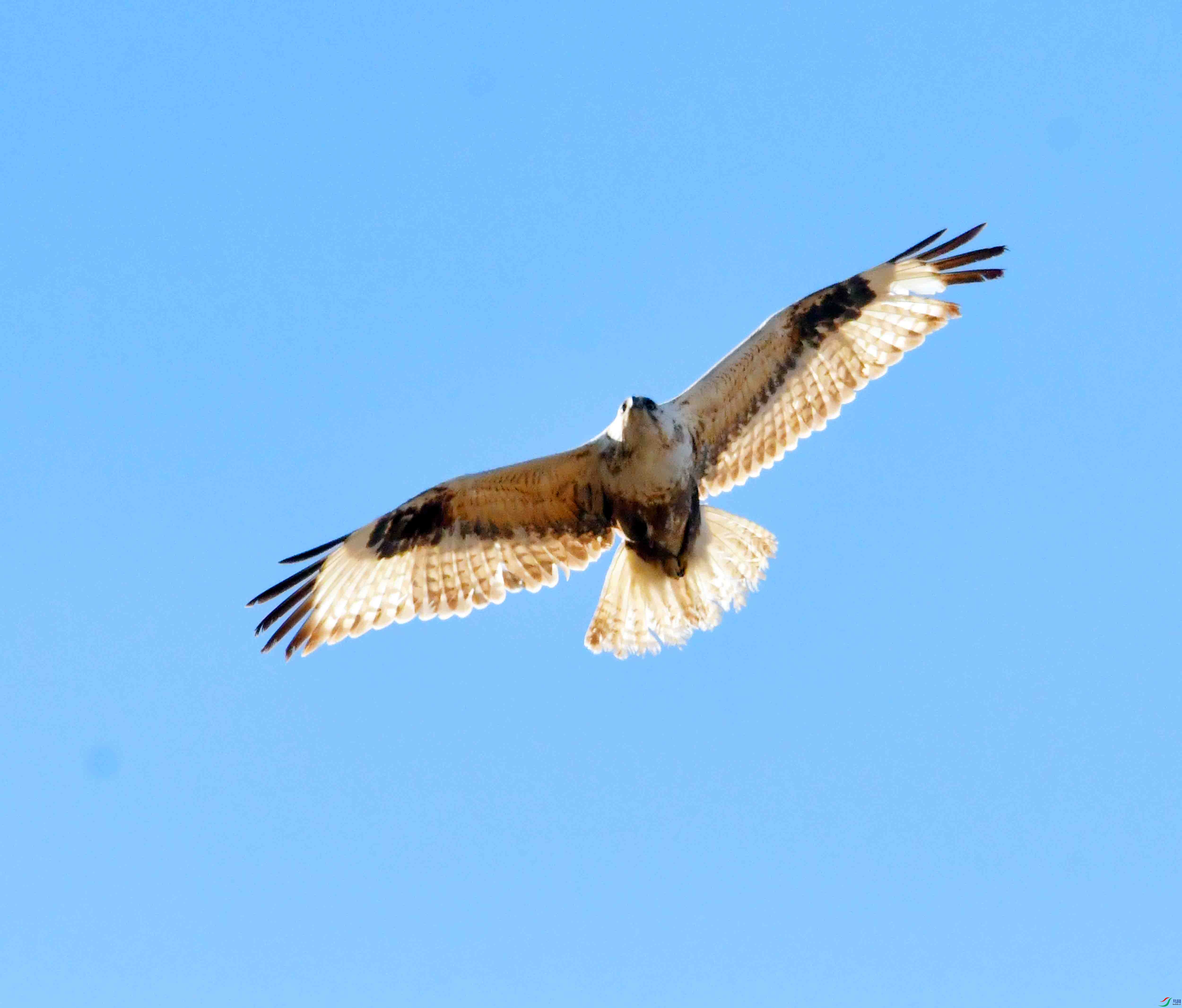 DSC_2301.JPG