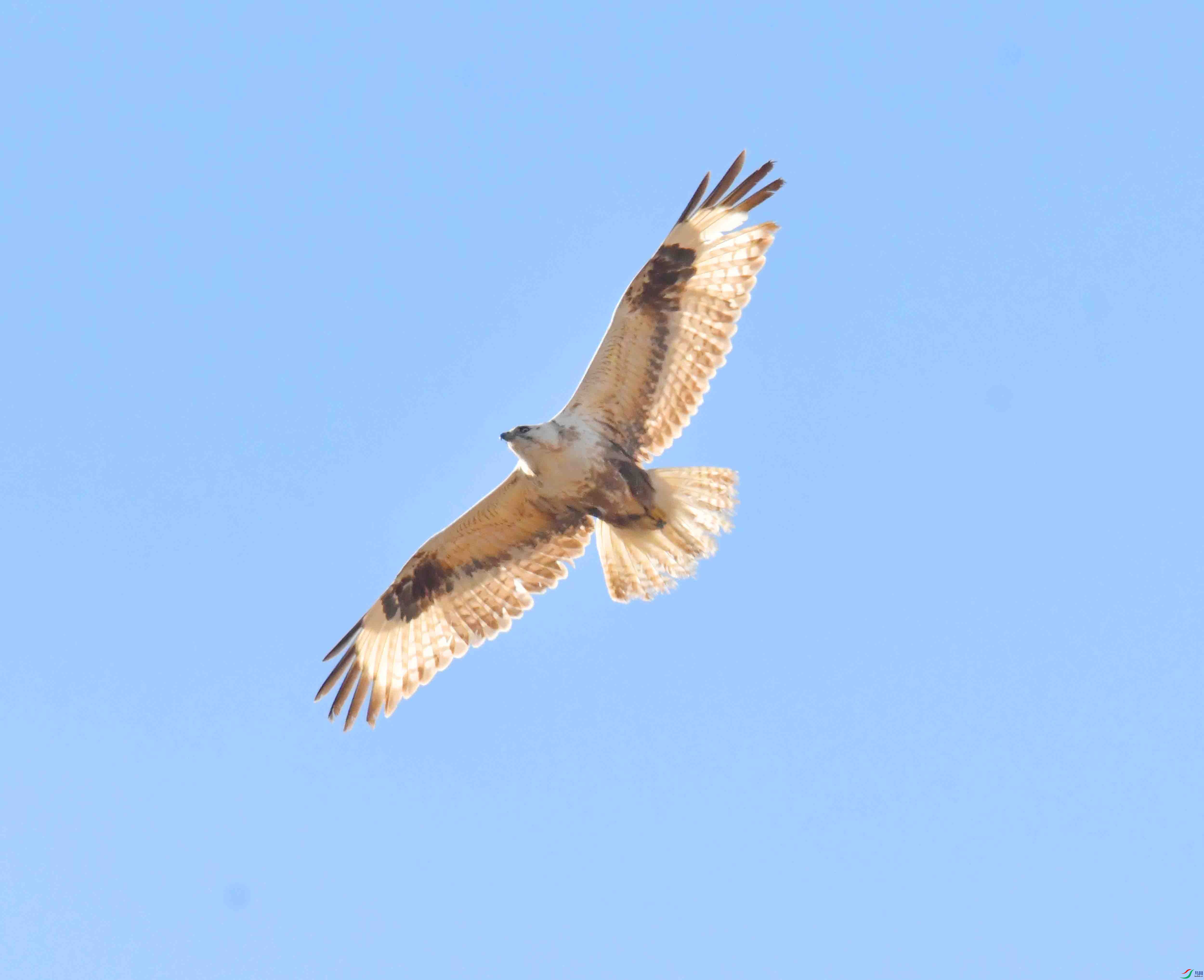 DSC_2304.JPG