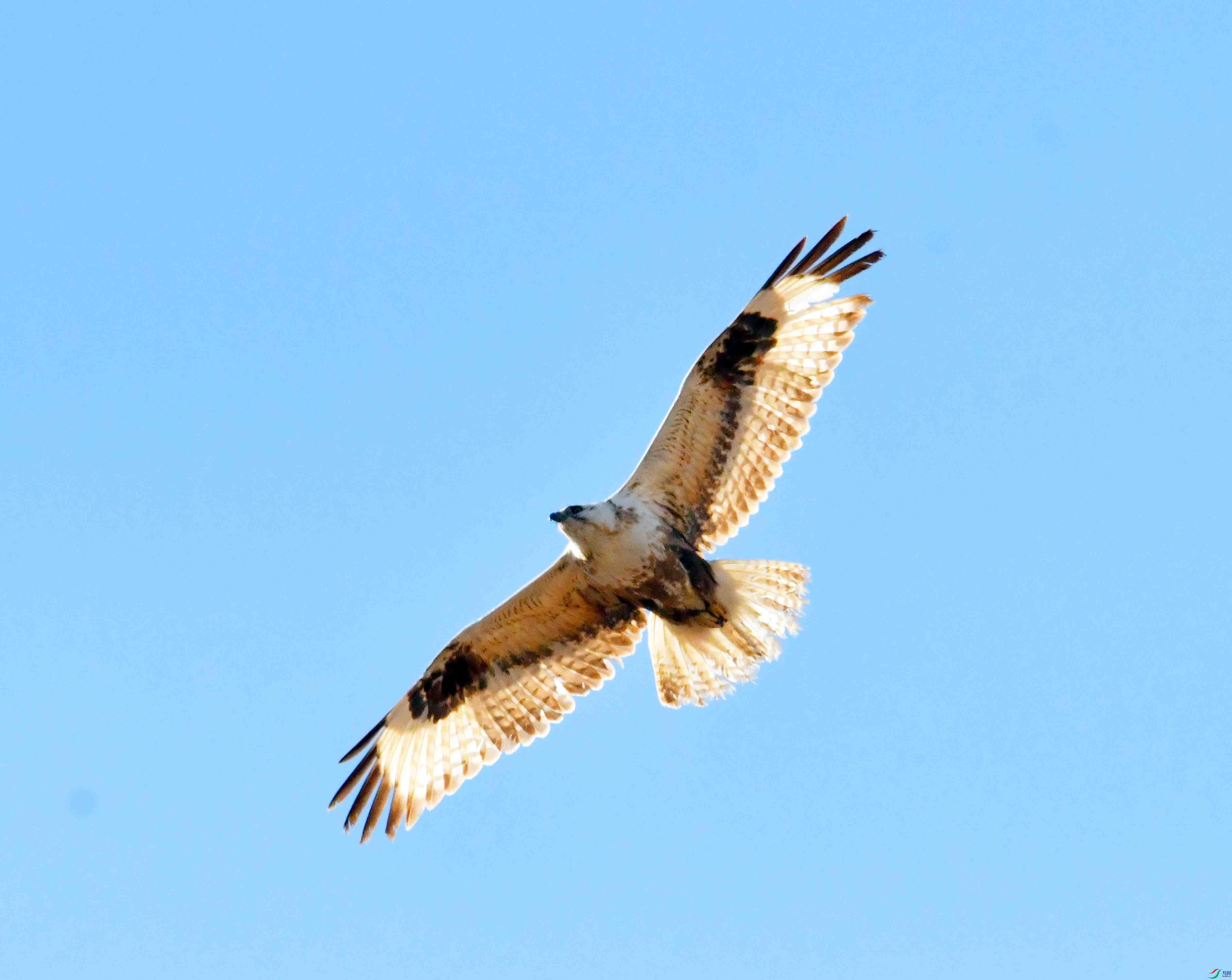 DSC_2303.JPG