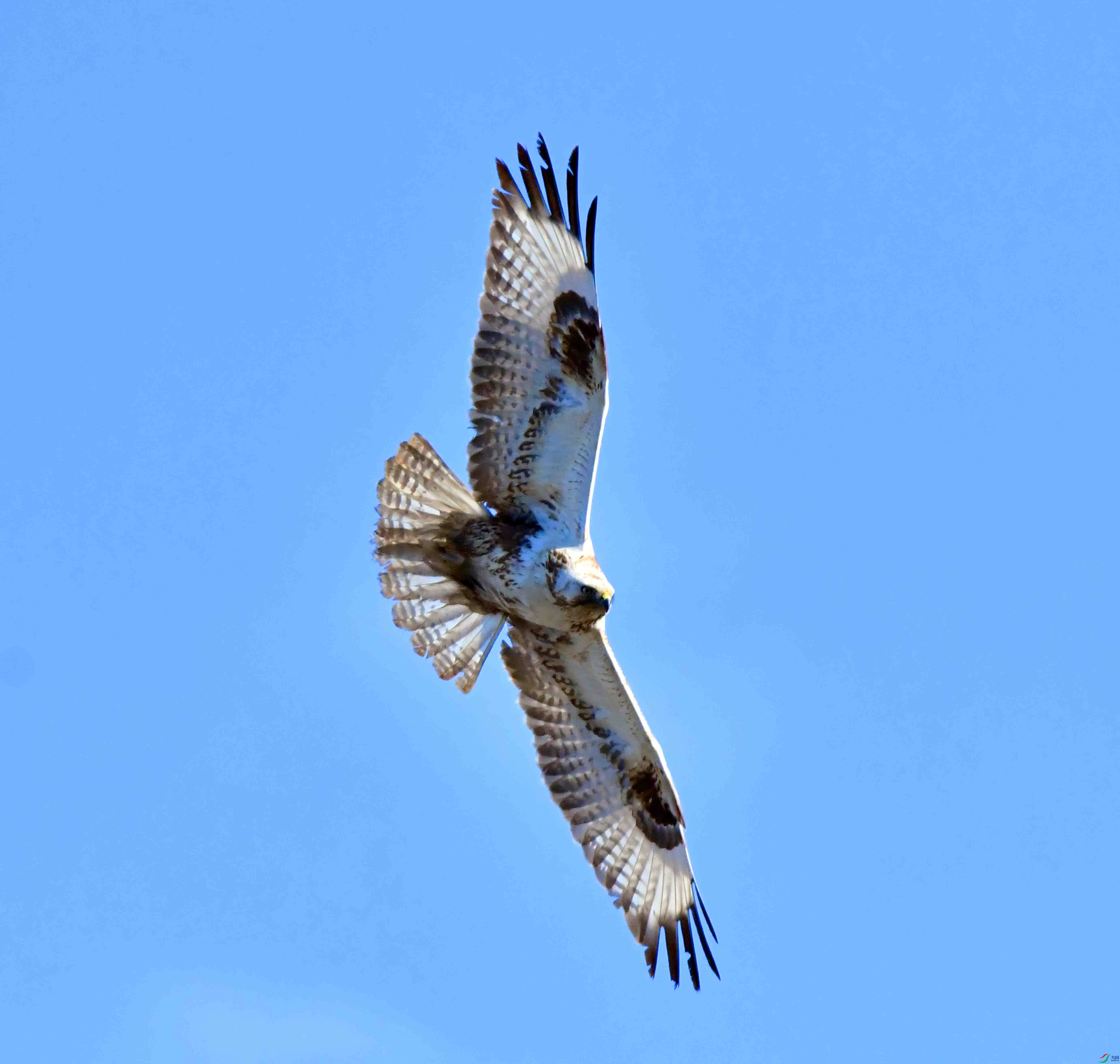 DSC_2454.JPG