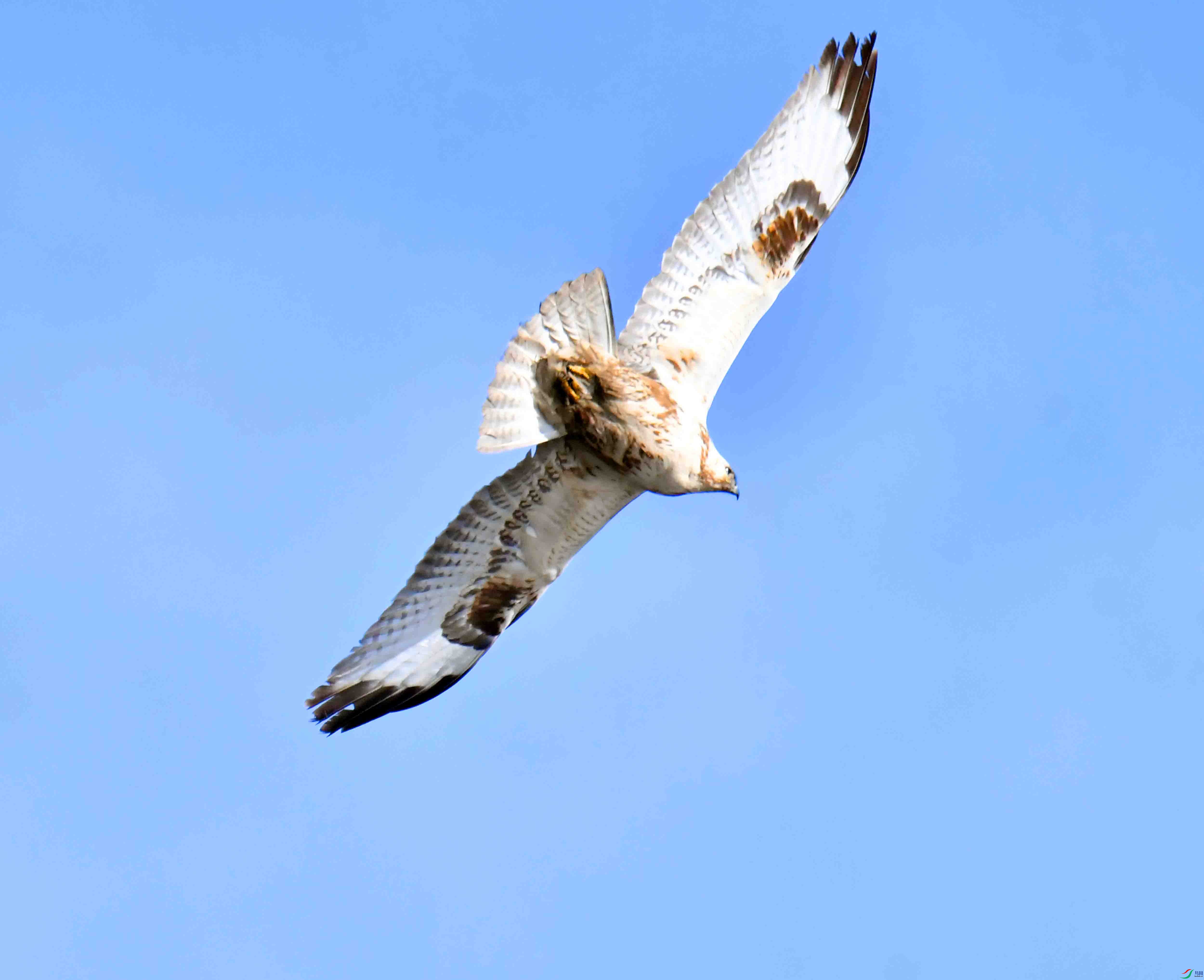 DSC_2456.JPG