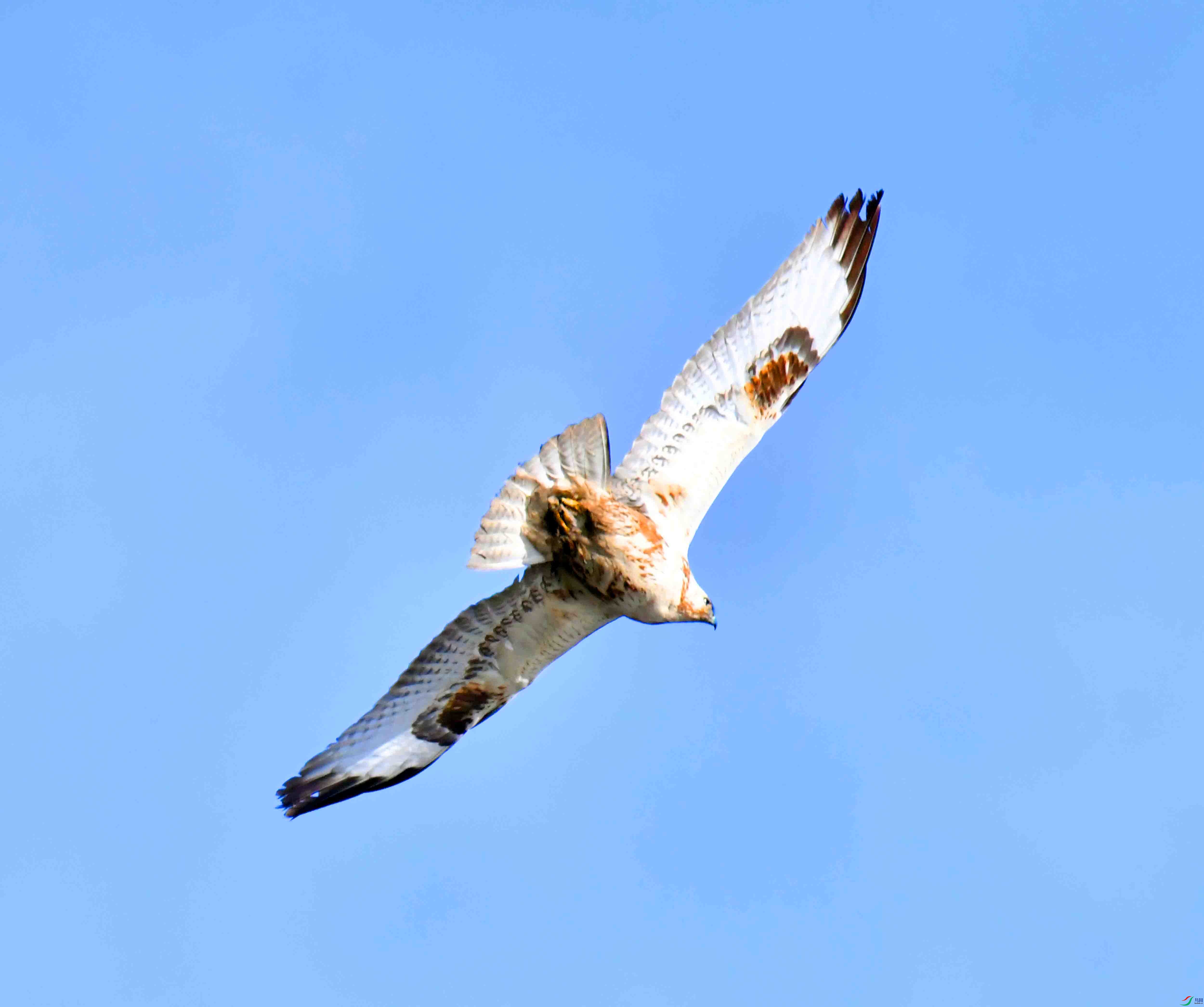 DSC_2457.JPG