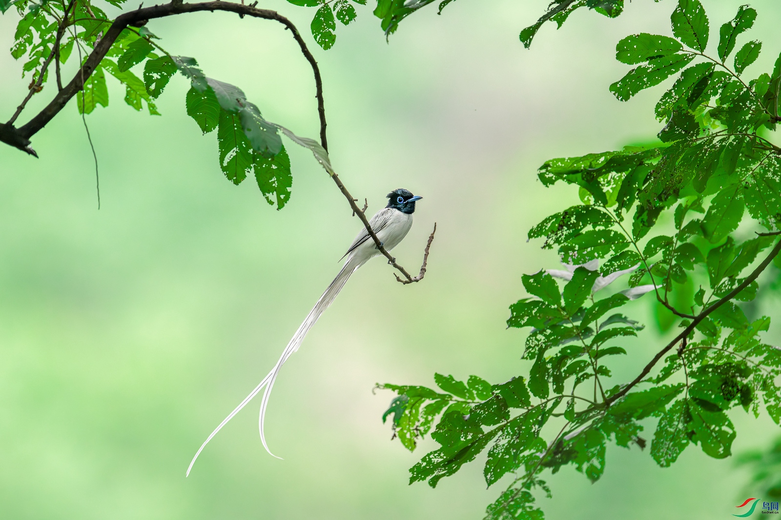 _Z9B8980_����.jpg