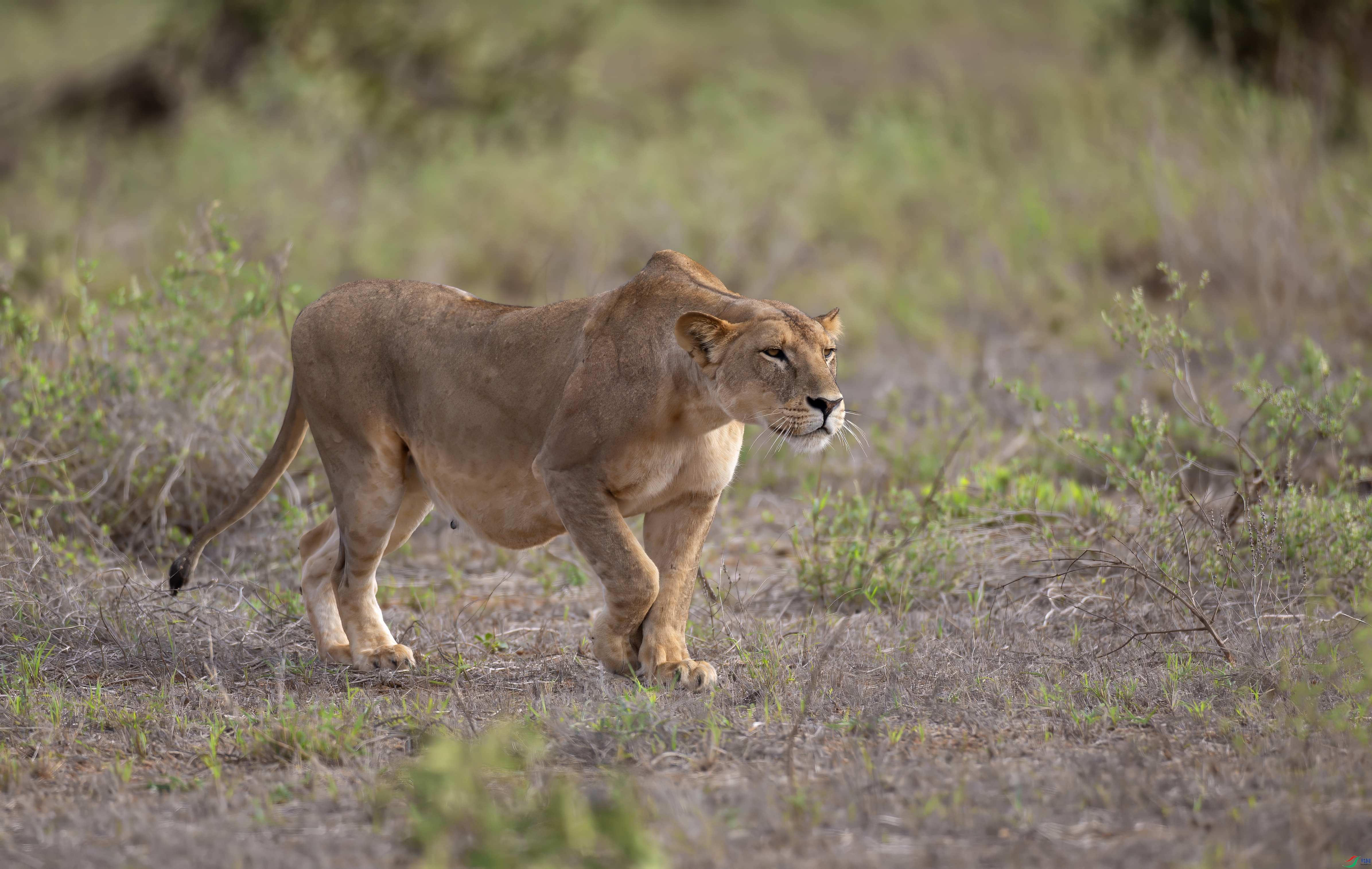 _X0A9649-topaz-denoise.jpeg