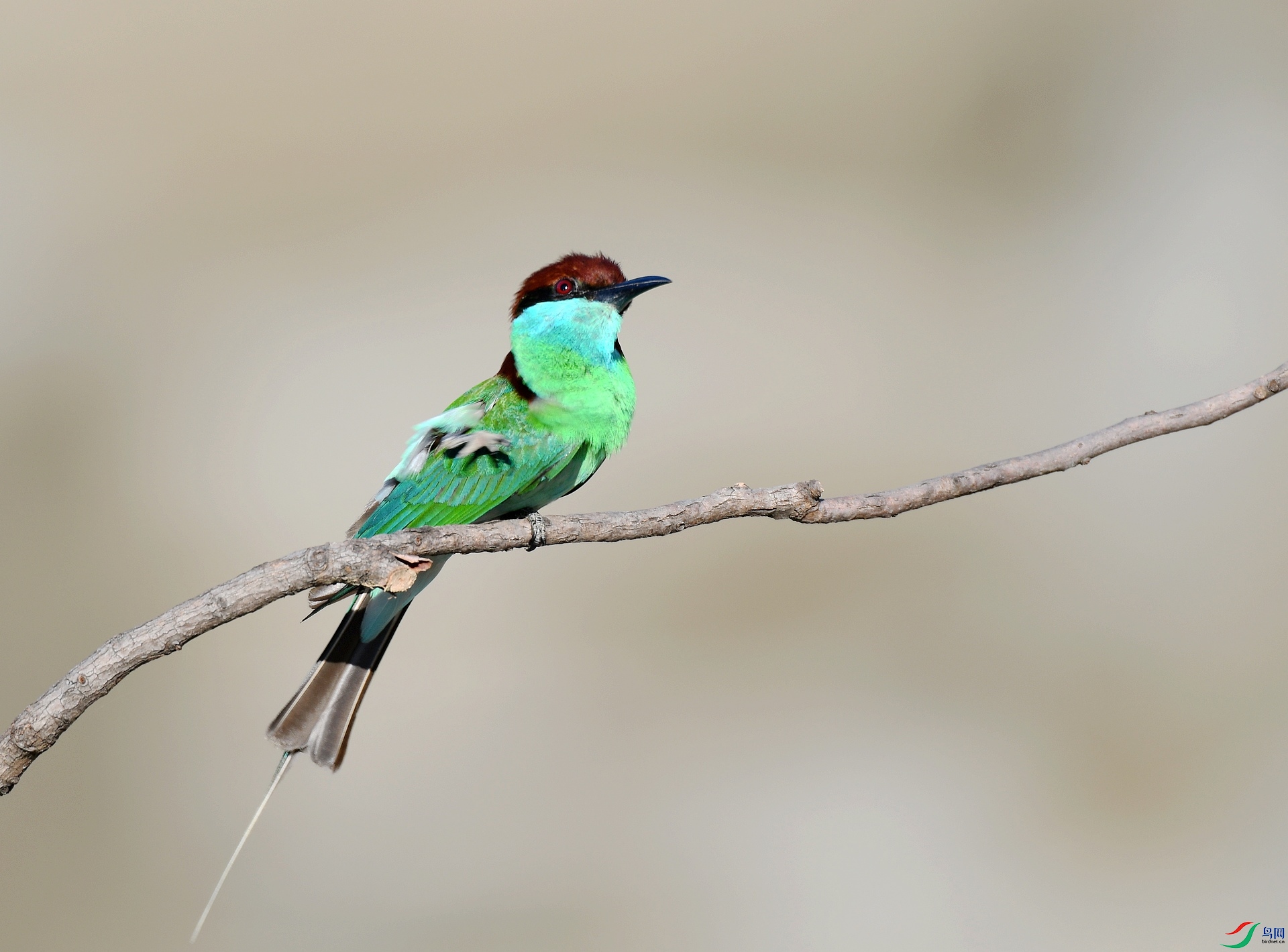 DSC_5381.jpg
