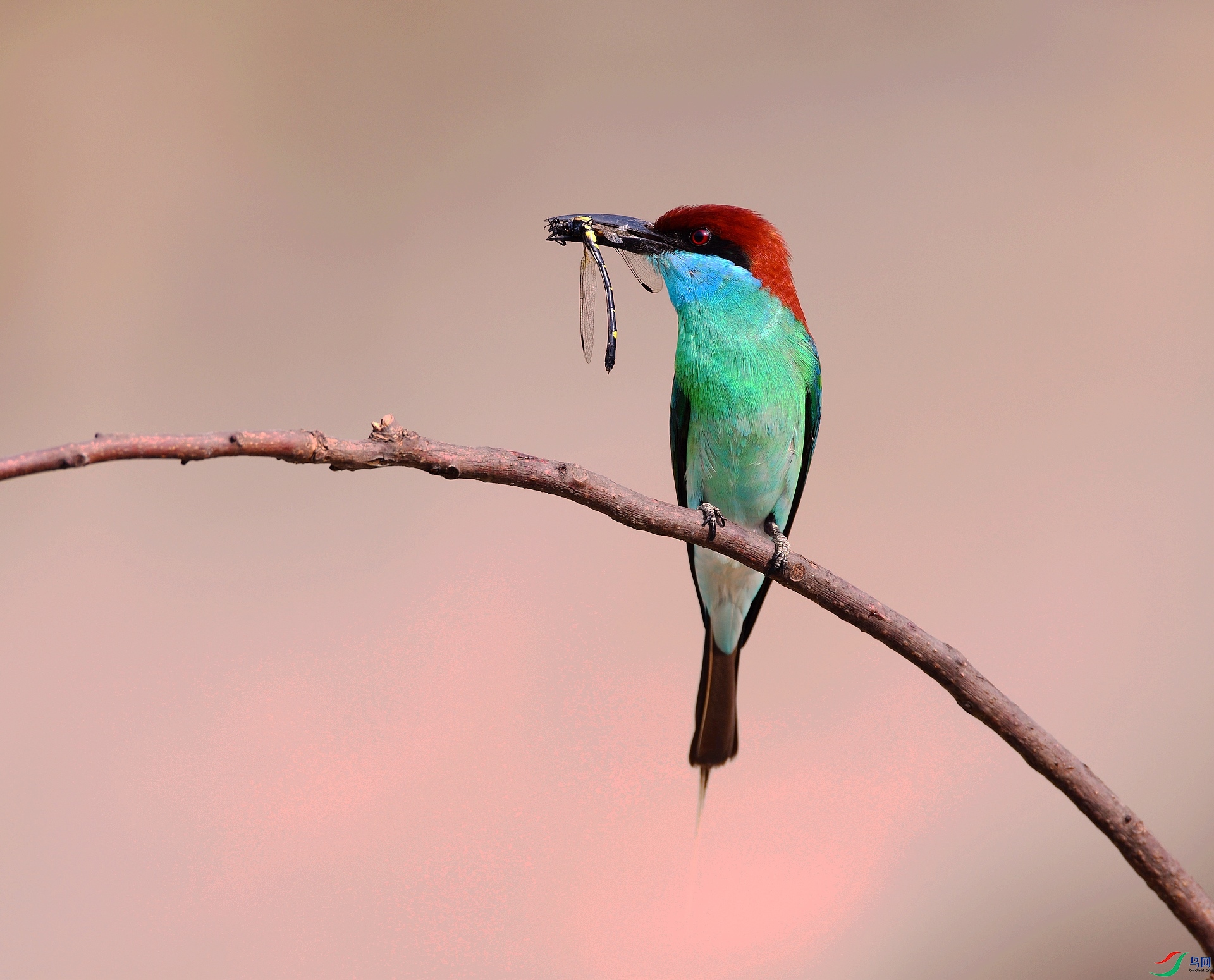 DSC_1200.jpg