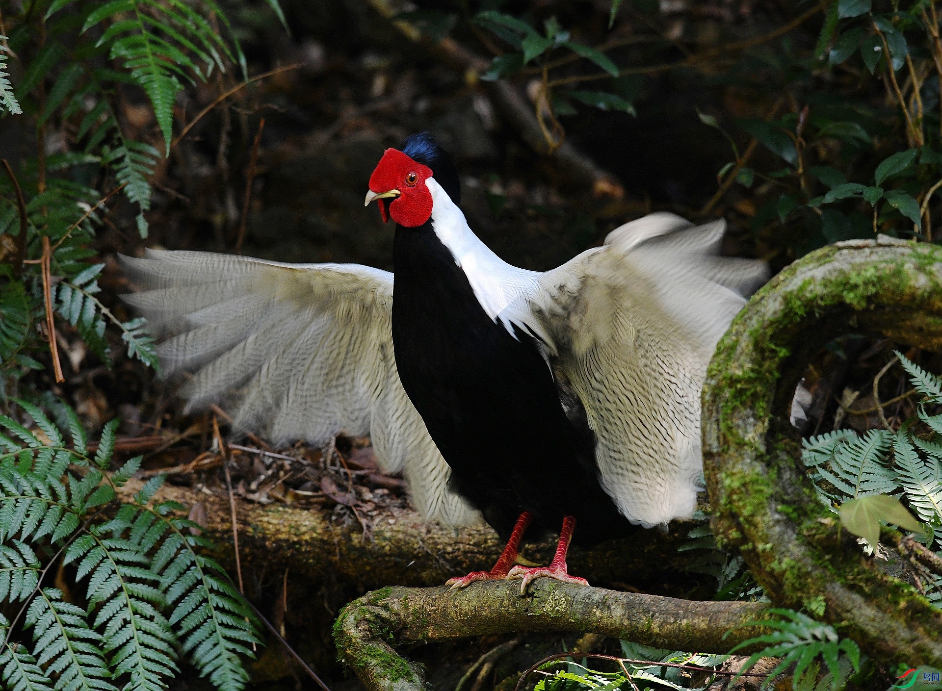 DSC_7415.jpg
