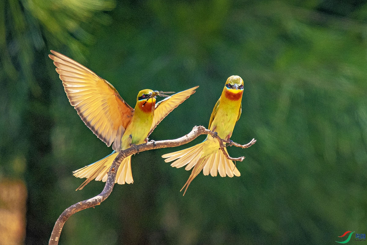 DSC_7630-����ǿ.jpg