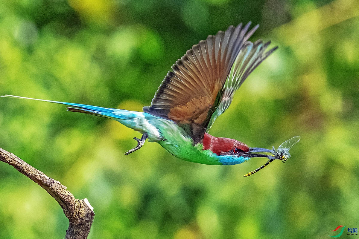 DSC_4378.jpg
