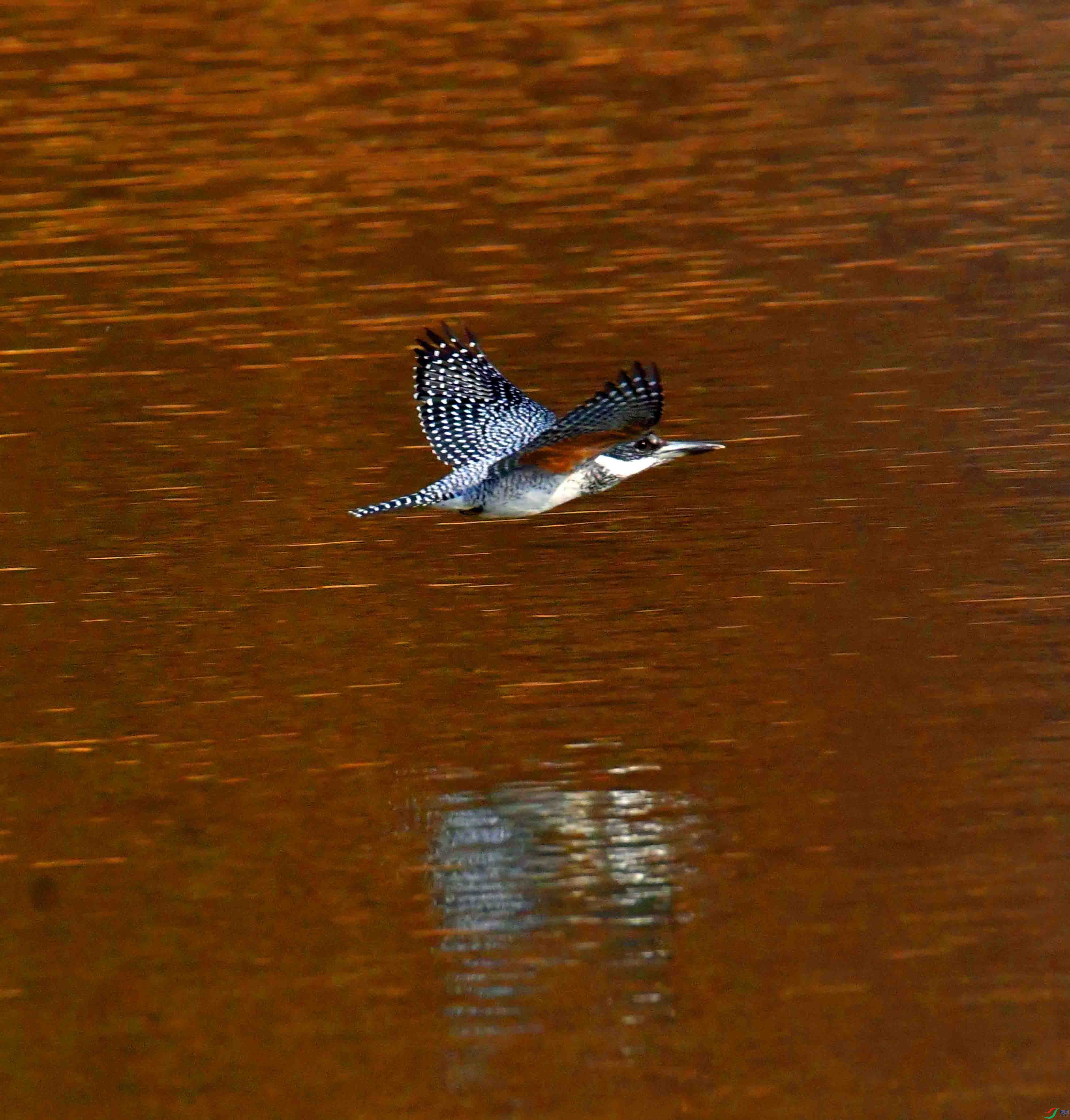 DSC_2062.JPG