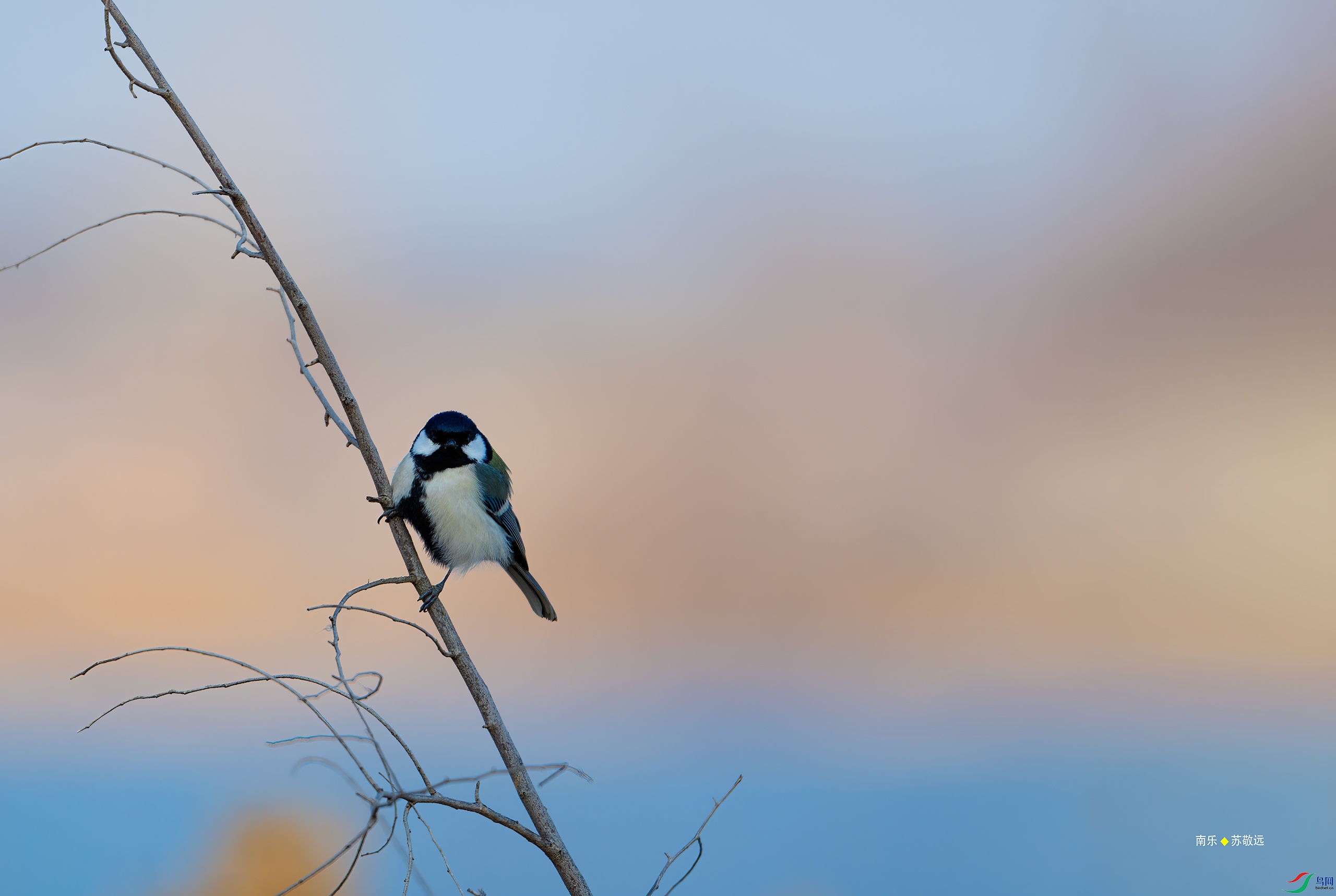 _DSC4831-DxO_С.jpg