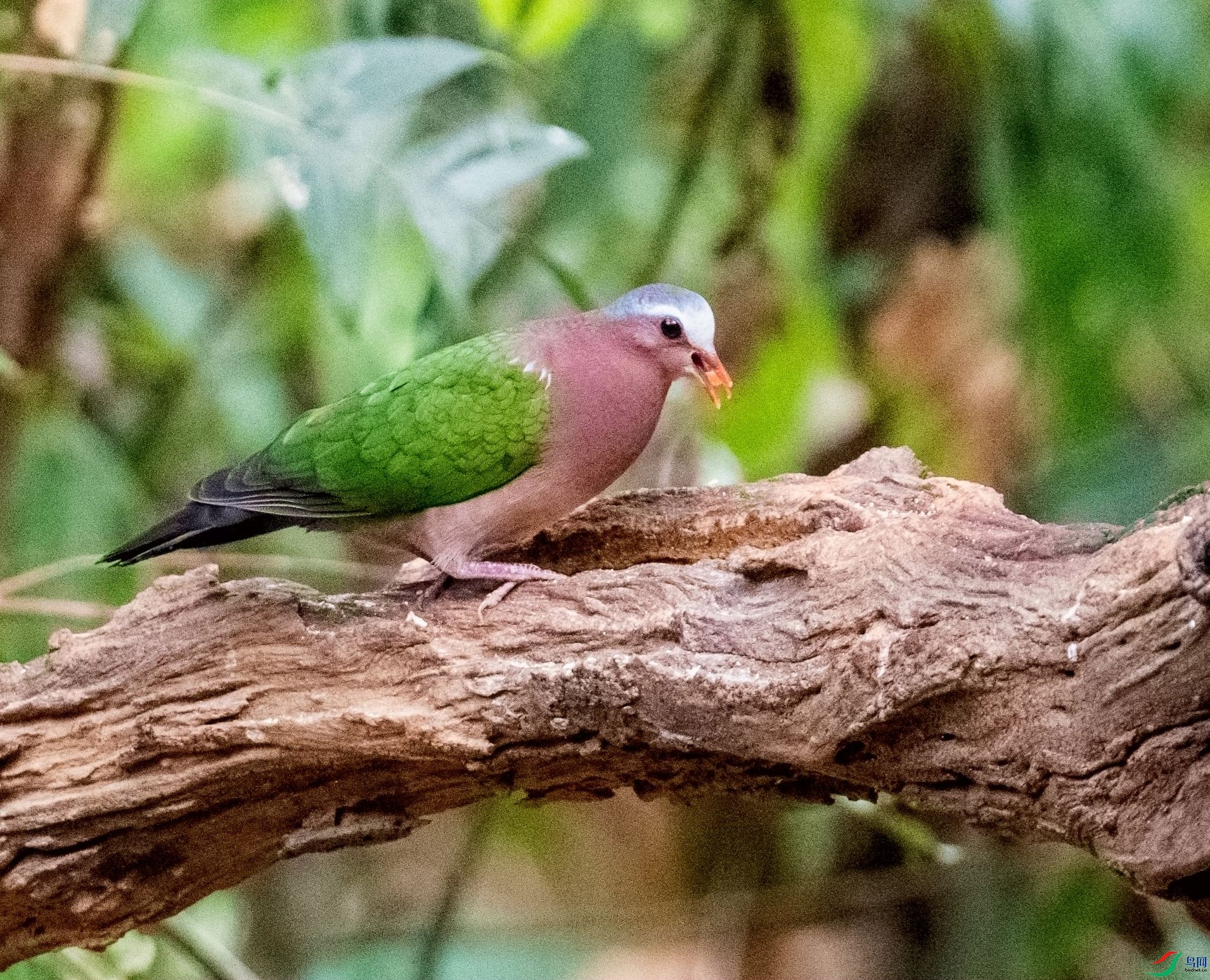 DSC_3309_����.jpg