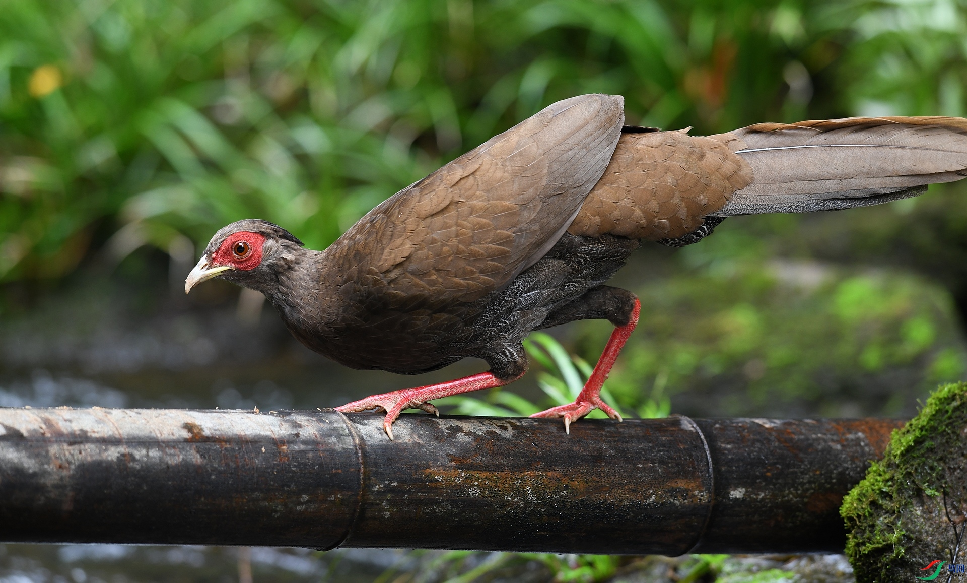 DSC_3969.jpg