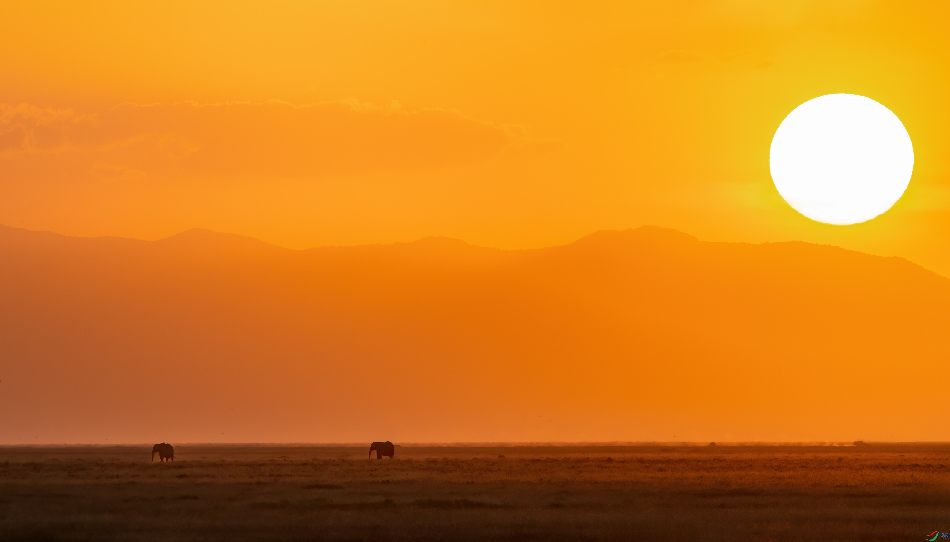 DSC_8564-11.jpg