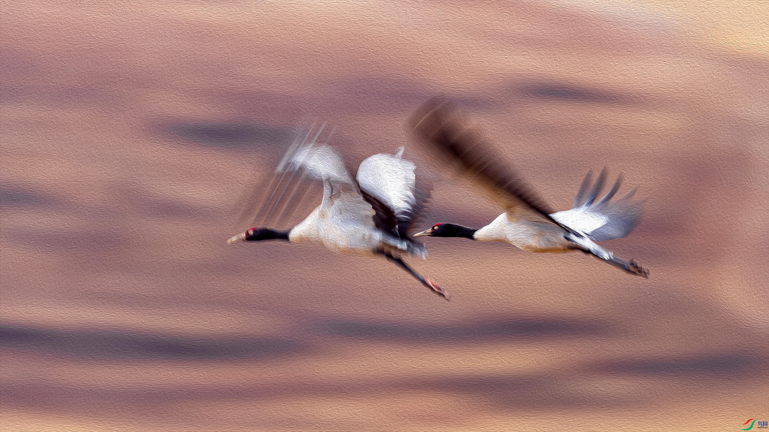 DSC07056b_����.jpg