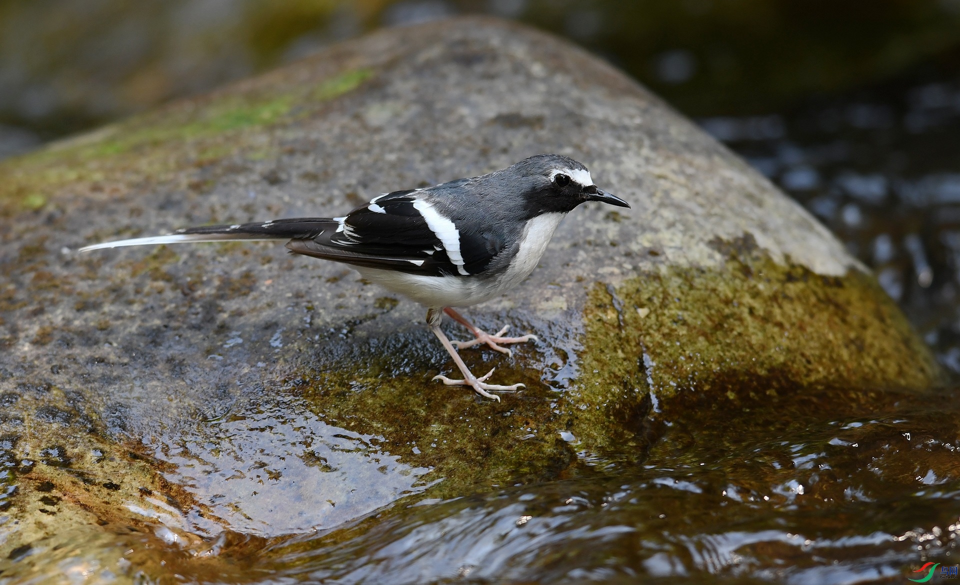 DSC_8162.jpg