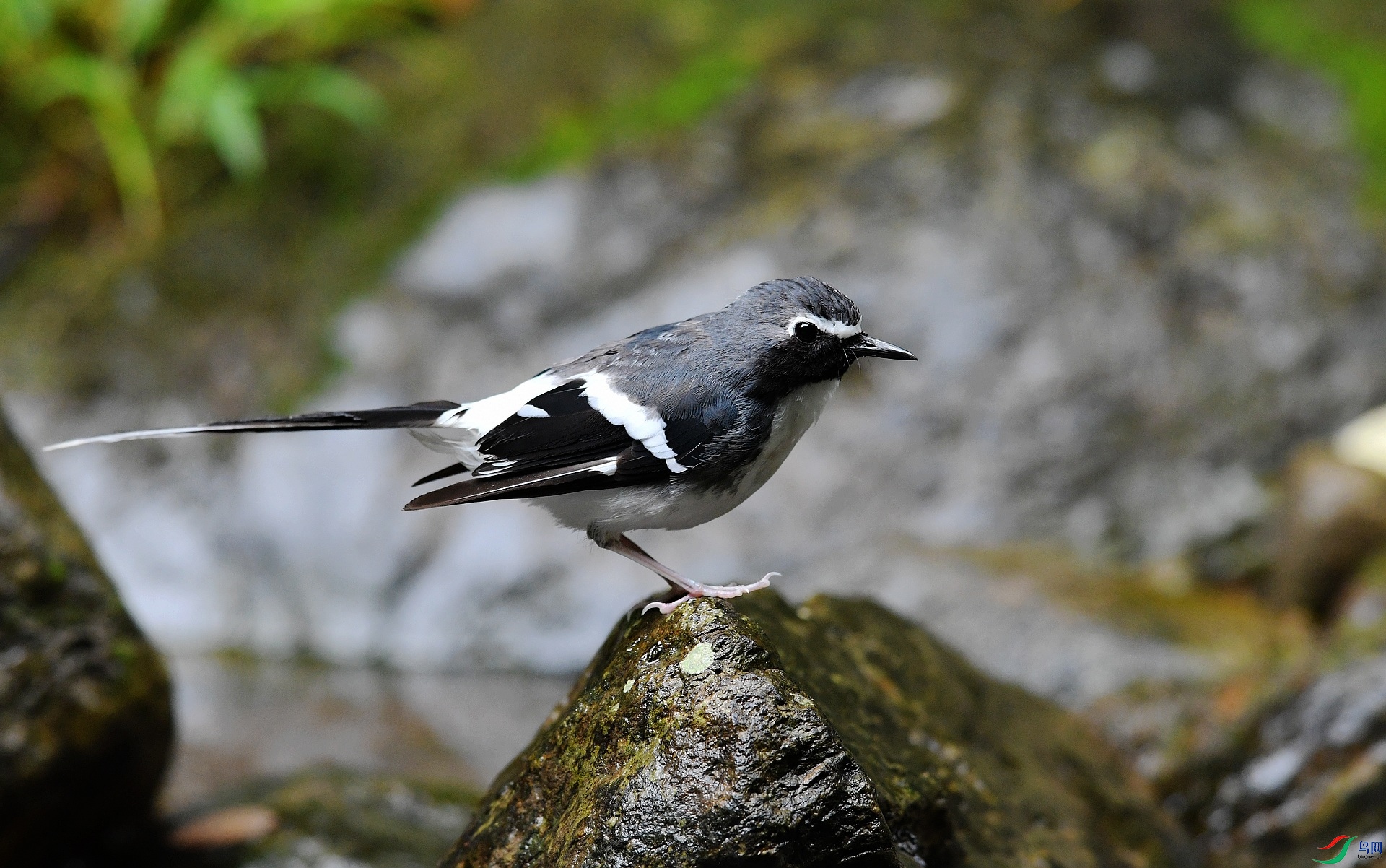 DSC_6115.jpg