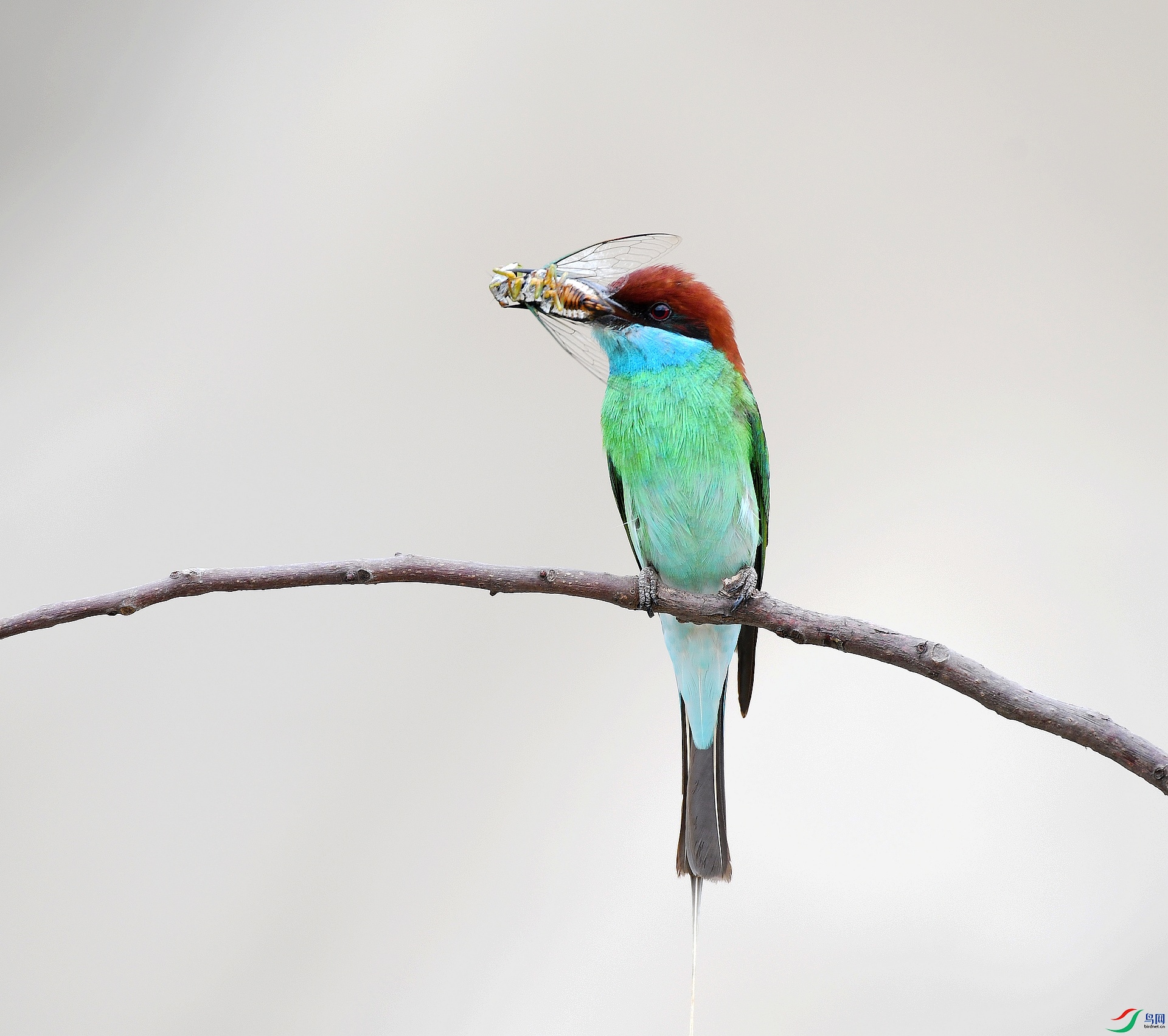DSC_7274.jpg