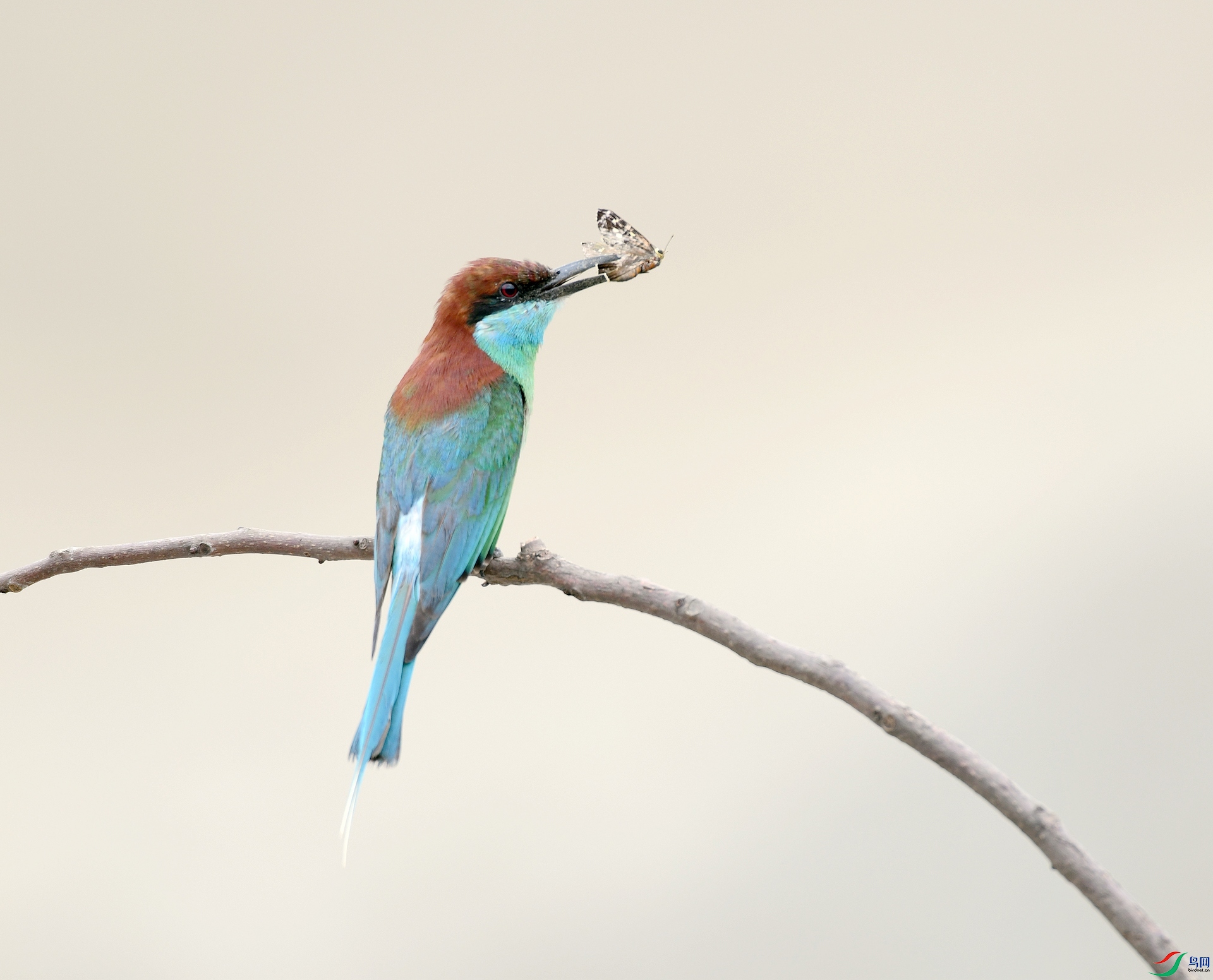 DSC_3184.jpg